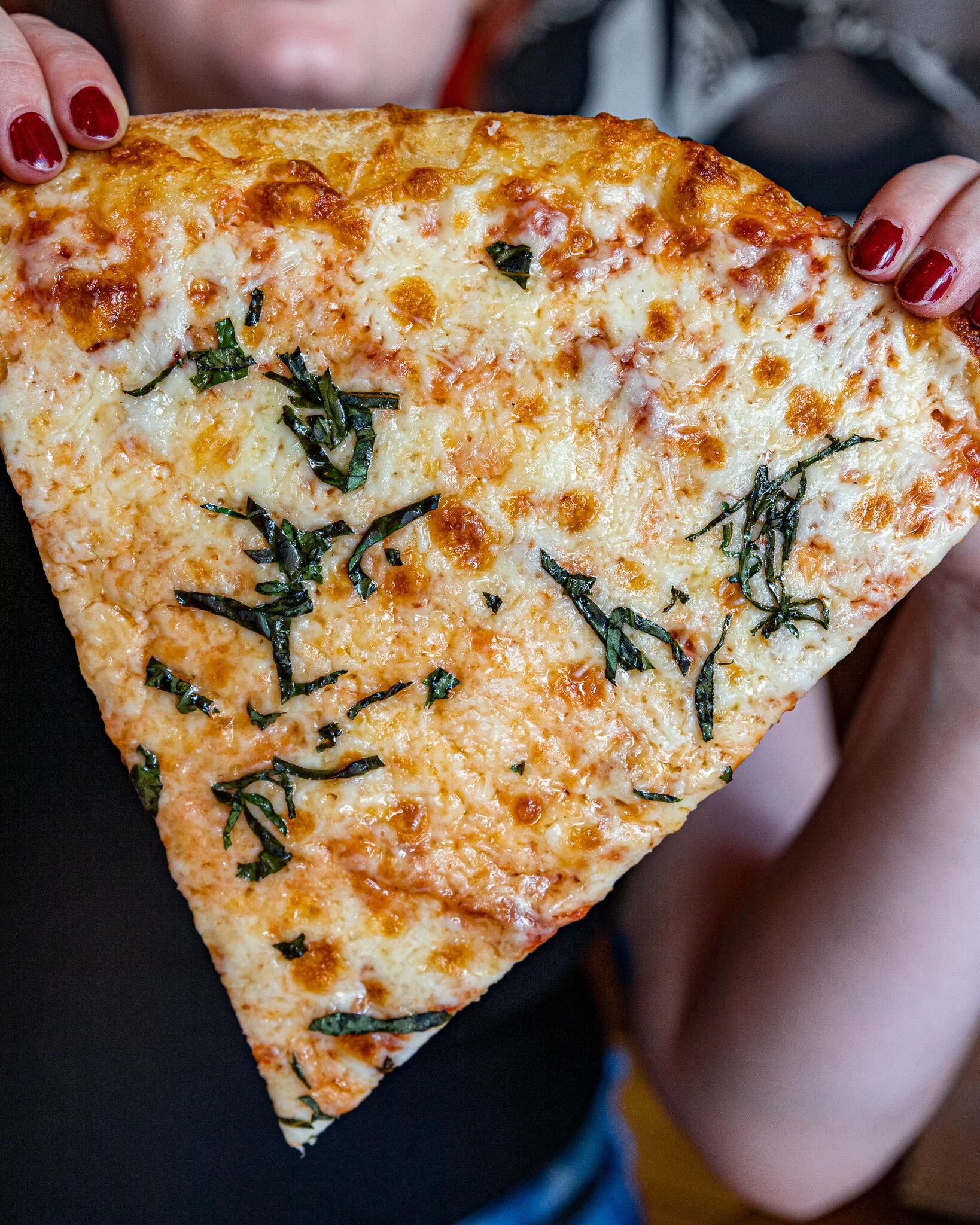 Cheese pizza slice.jpg