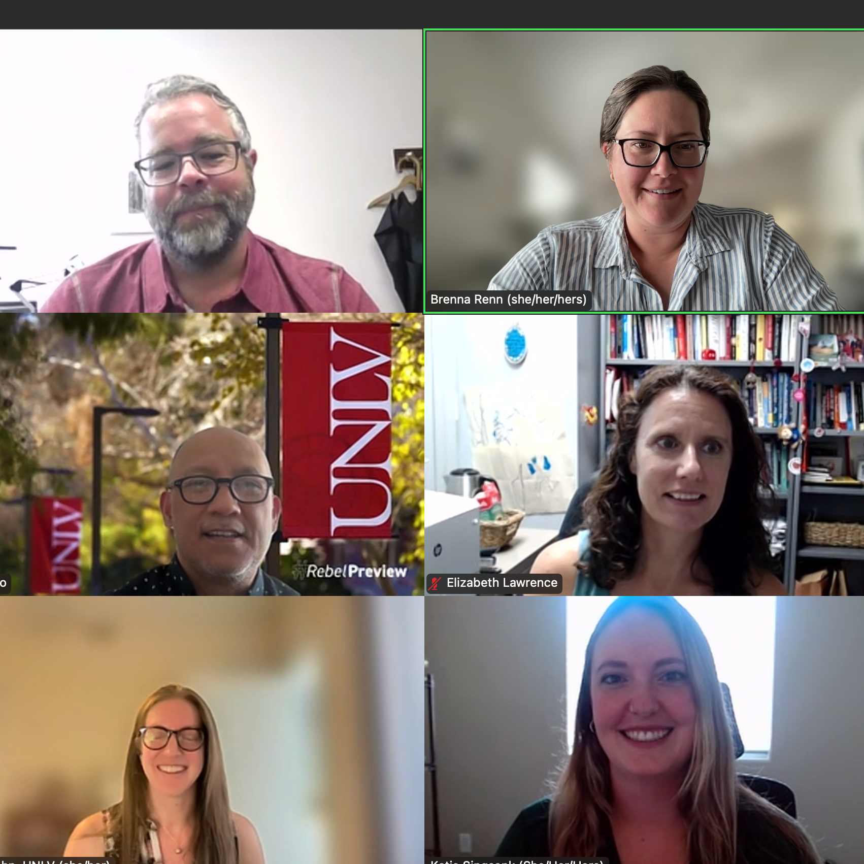 Screenshot of Katies defense meeting showing a zoom meeting with 6 people in it