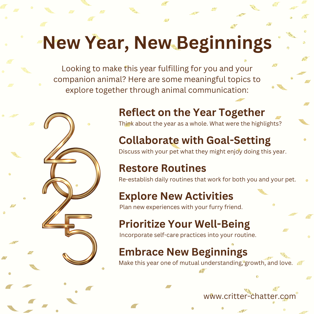 Advice for making the New Year fulfilling for you and your companion animal