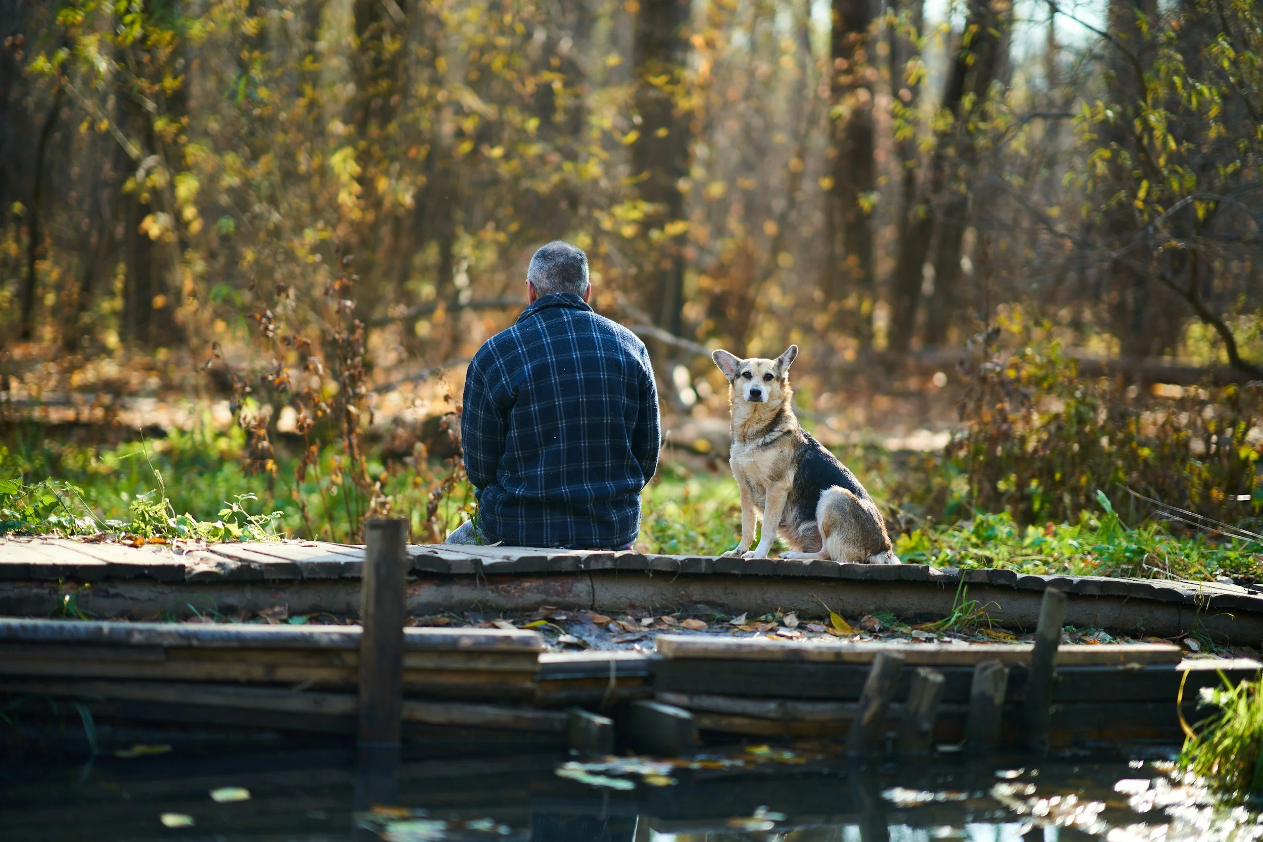 A grey-haired man sits on a walkway in a forest as his brown and black spotted dog looks intently at the viewer
