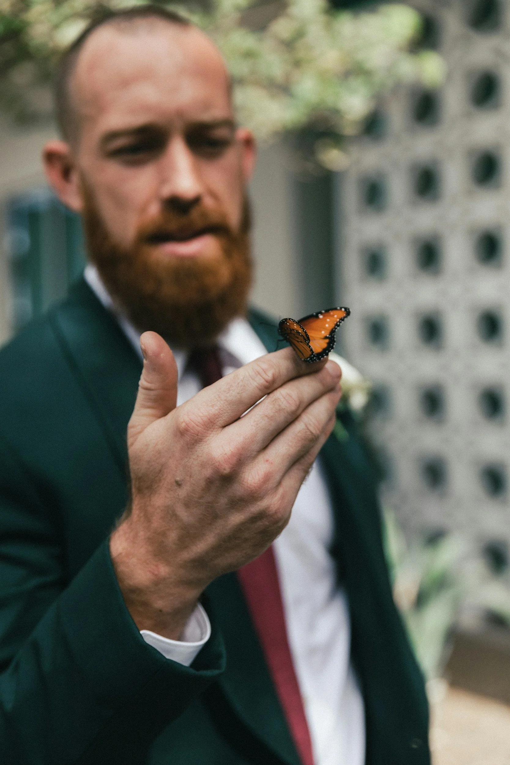 Man in business suit admires butterfly perching on his finger