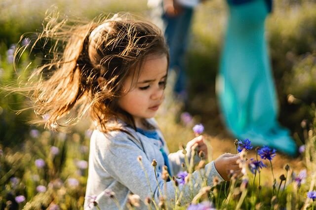 Just a photograph of a little girl picking wildflowers.

#candidchildhood #virginiaphotographer #sonyalpha #windinyourhair