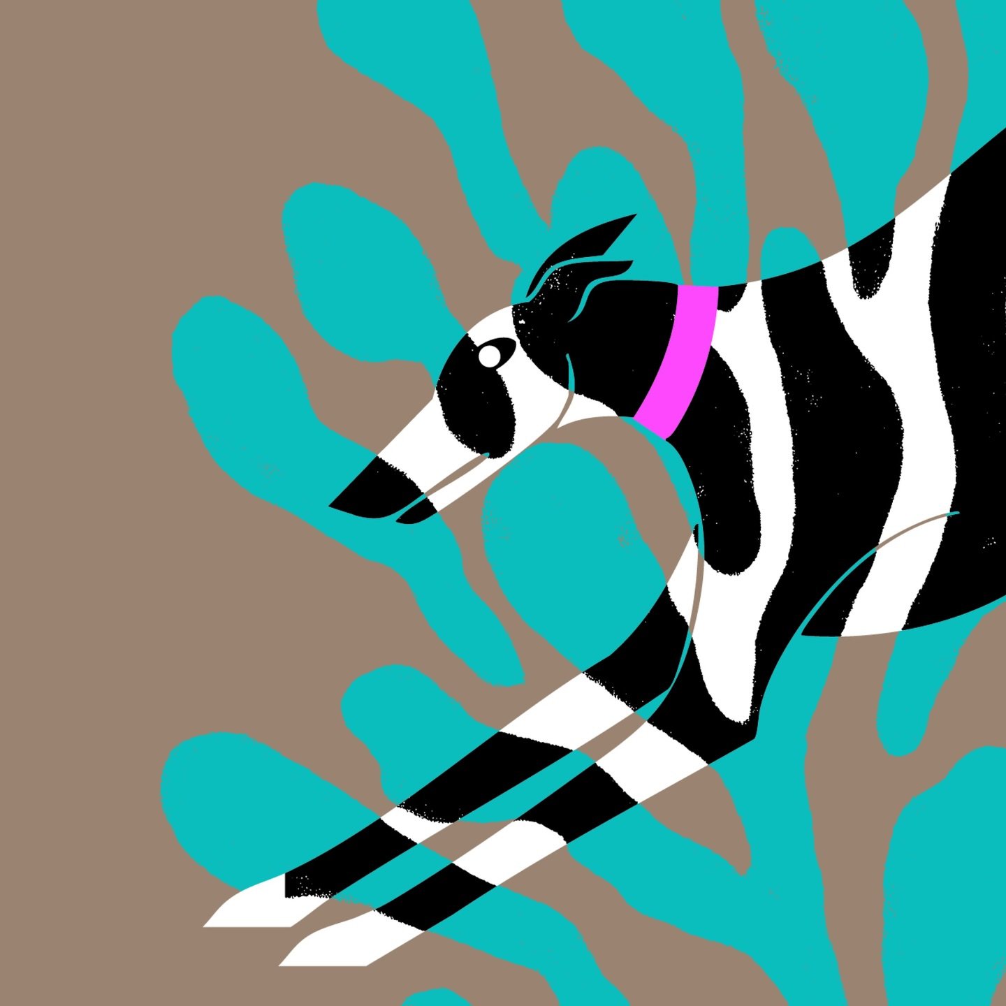 Sketches, color studies and paintings of my 🐕 #whippet #dog Dash