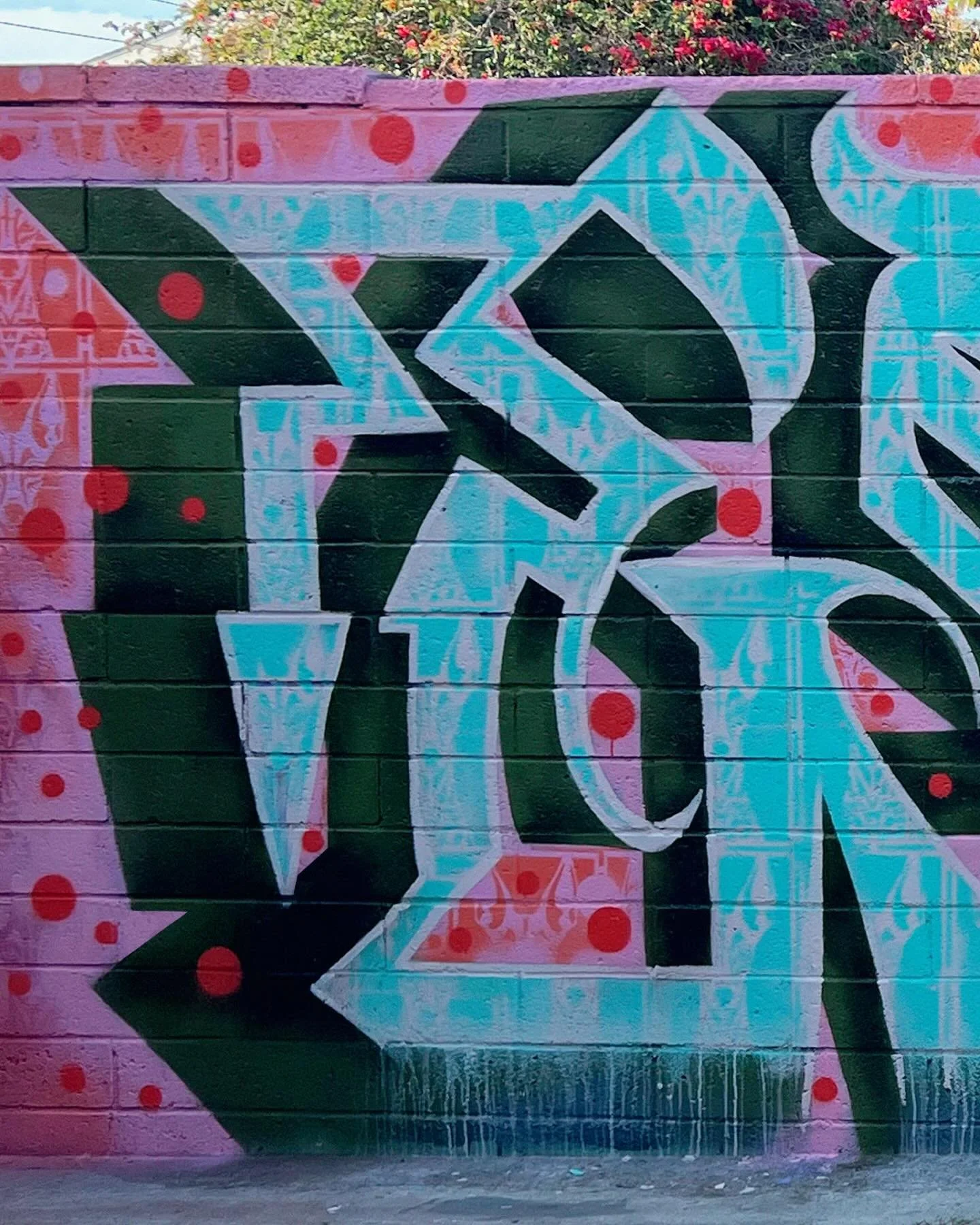 I painted this piece last week on my practice wall, I had never painted #oldenglish letter forms before and wanted to give them a try. Definitely gonna experiment with this style of lettering more. #graffiti #muralpainting