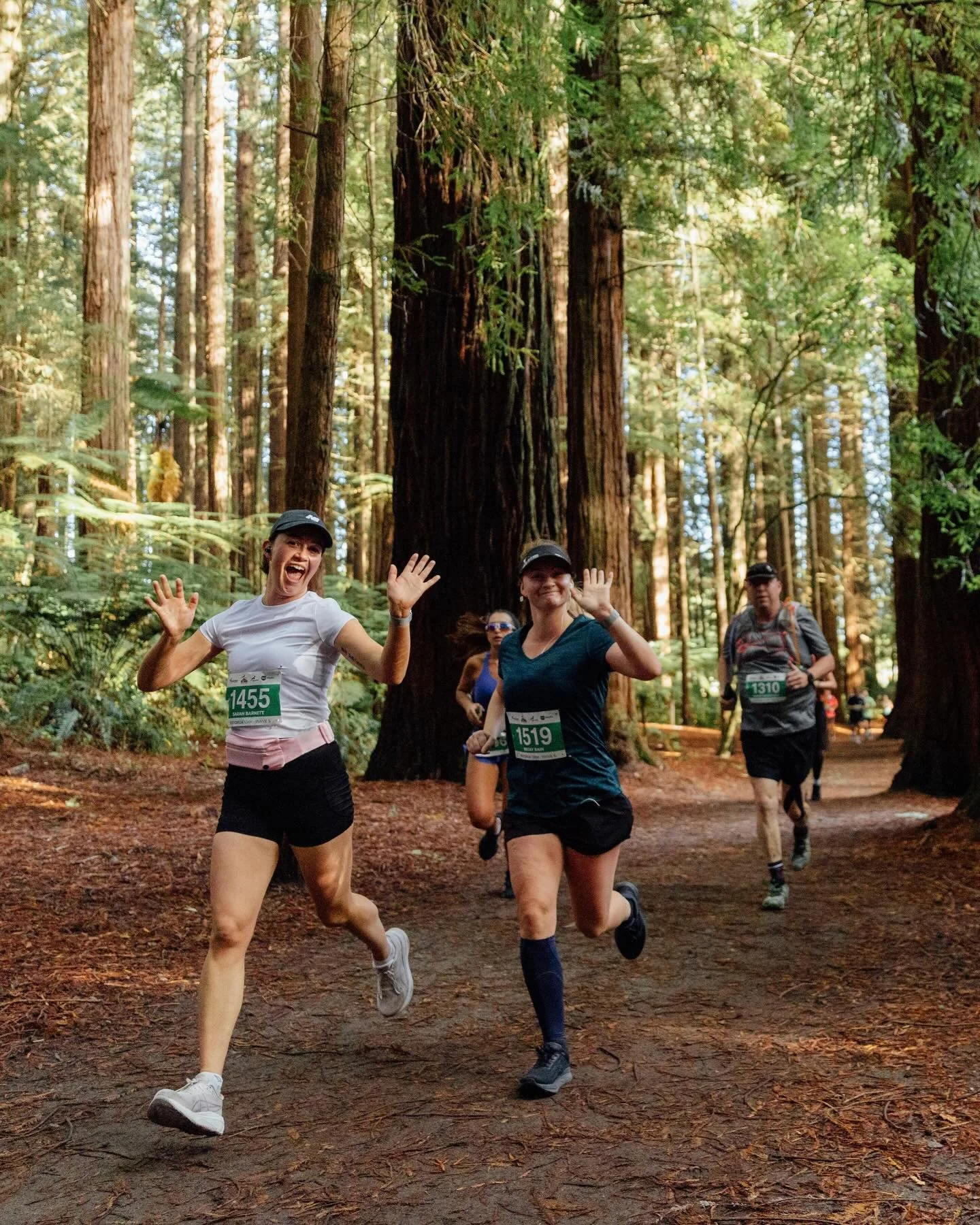 Explore the Whakarewarewa Forest in the Te Pui 10KM race! A thrilling mix of trail, culture, and road that you won&rsquo;t want to miss.