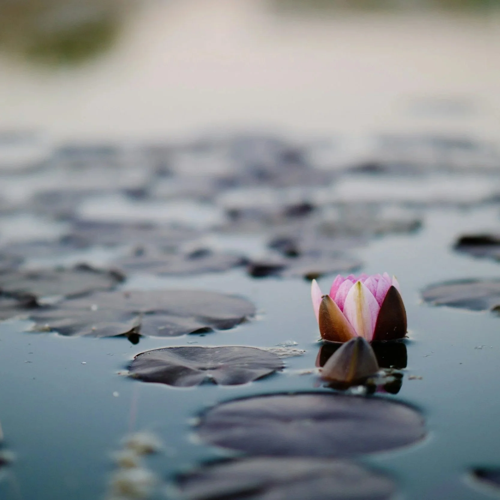 Understanding Secondary Trauma and How To Navigate It