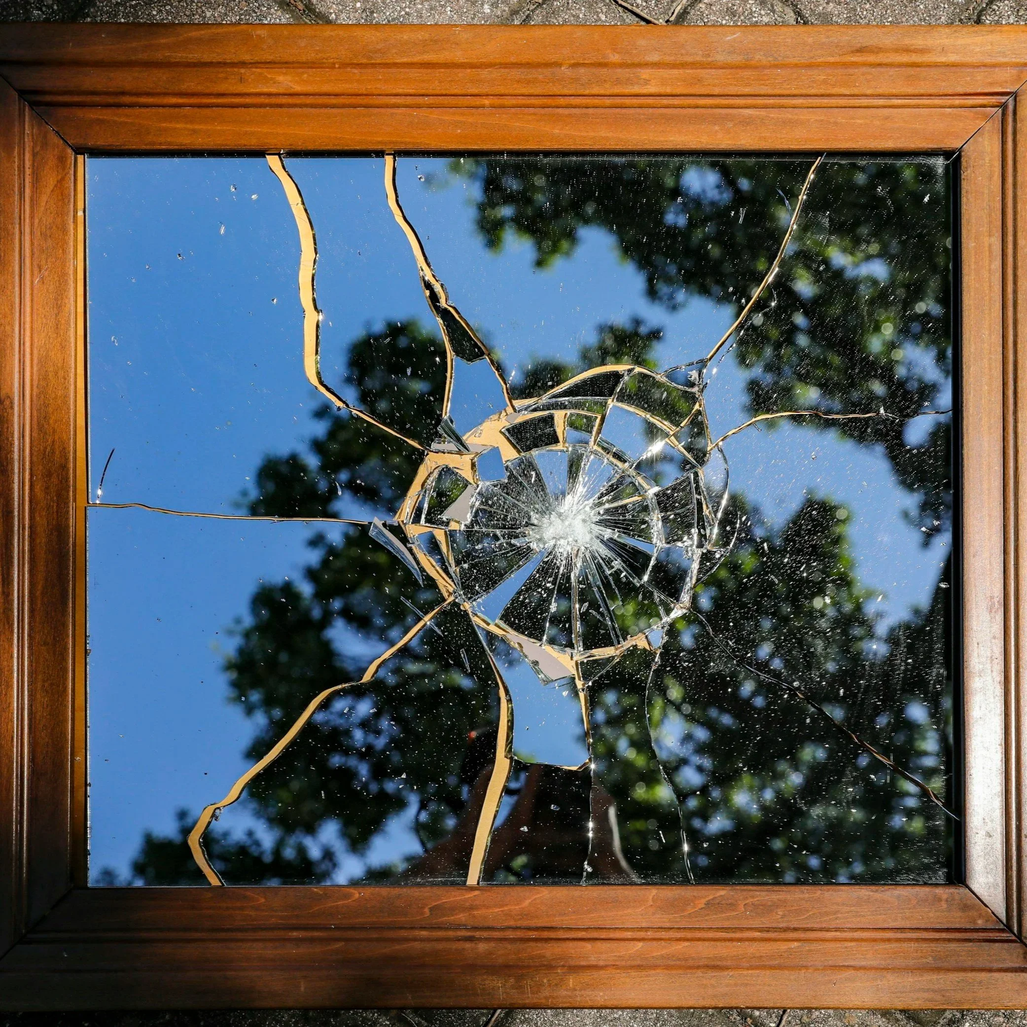 Understanding The Difference Between Trauma and PTSD