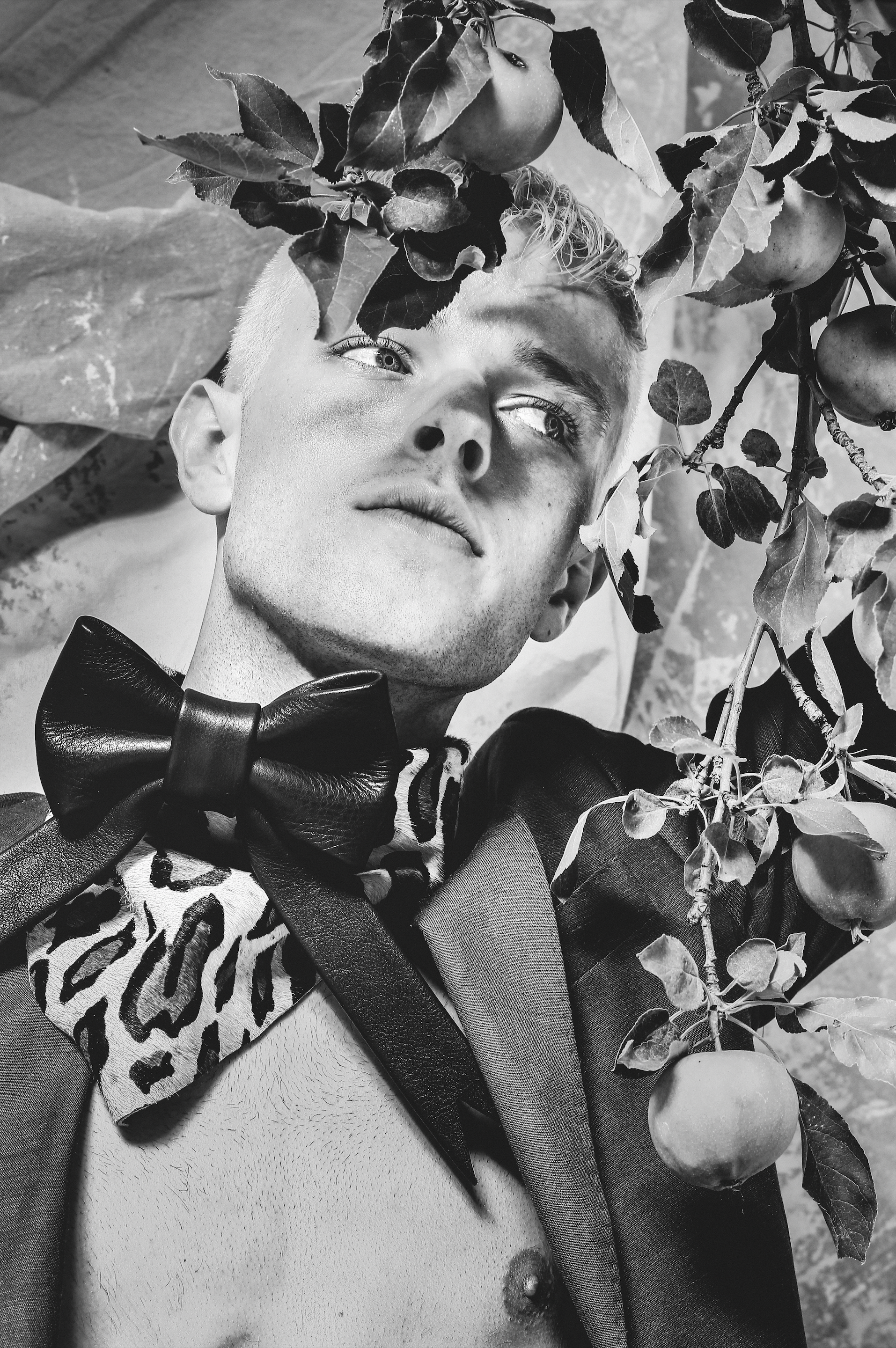 Screen Shot 2019-08-25 at 1.49.25 PM.png