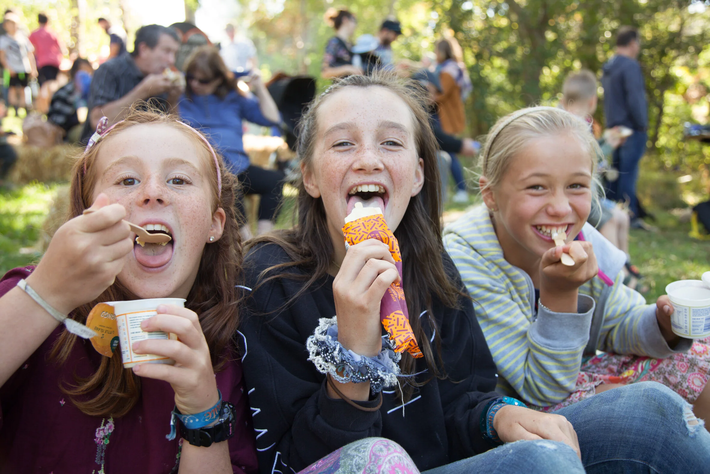 Harvest Fayre_19-8638sml.jpg