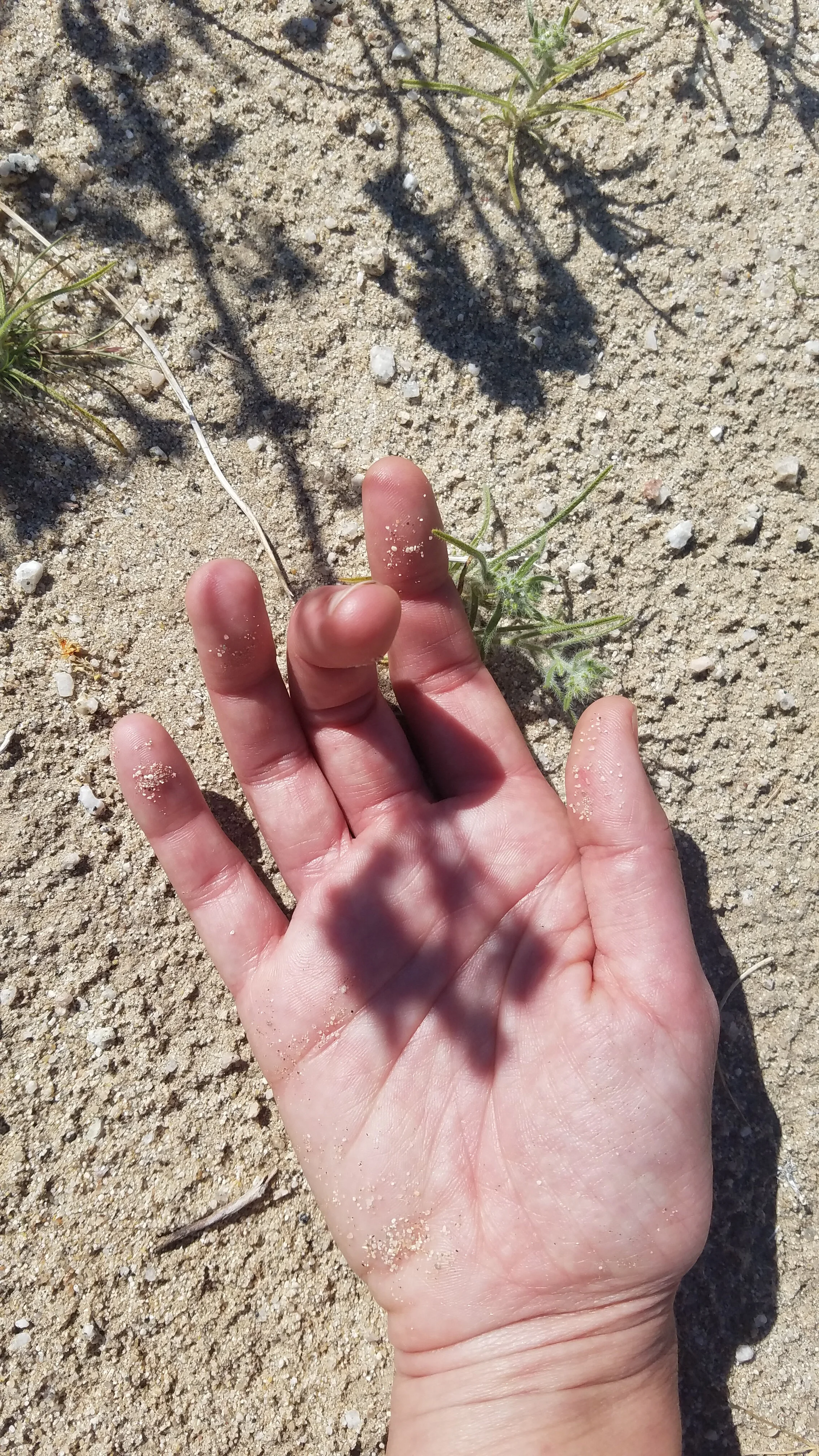 20190224_135059.jpg