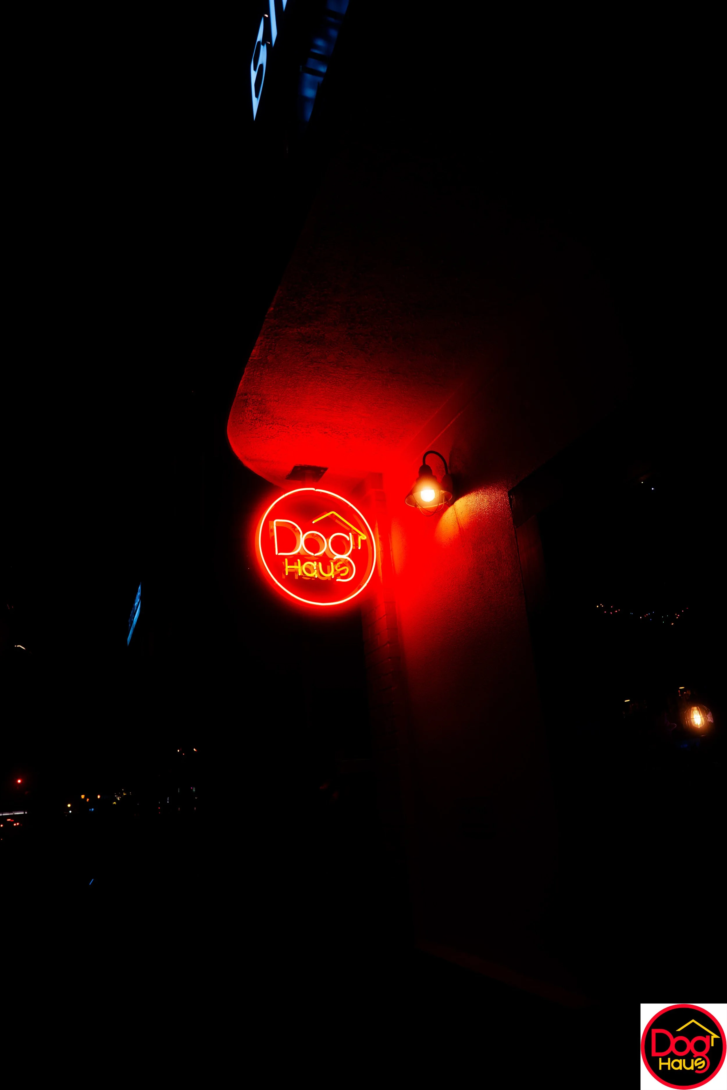 Neon sign for Dog Haus restaurant glowing red and yellow at night with dark surroundings.