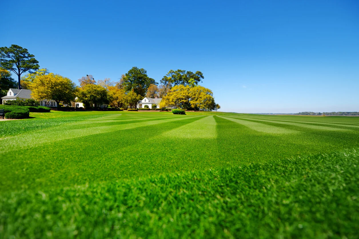 Green Guys Lawn Landscape 4.jpg