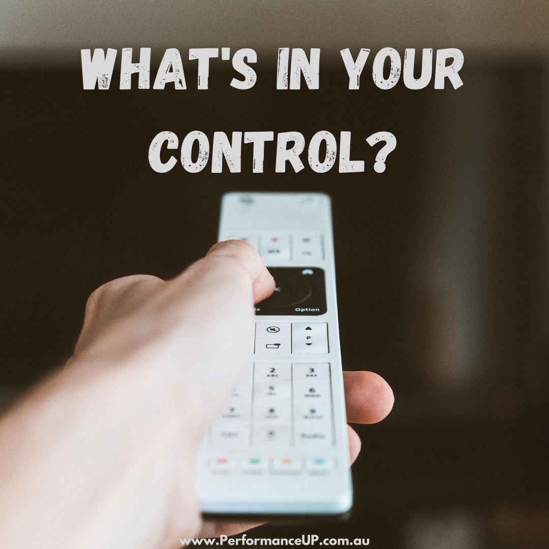 Controlling the Controllables