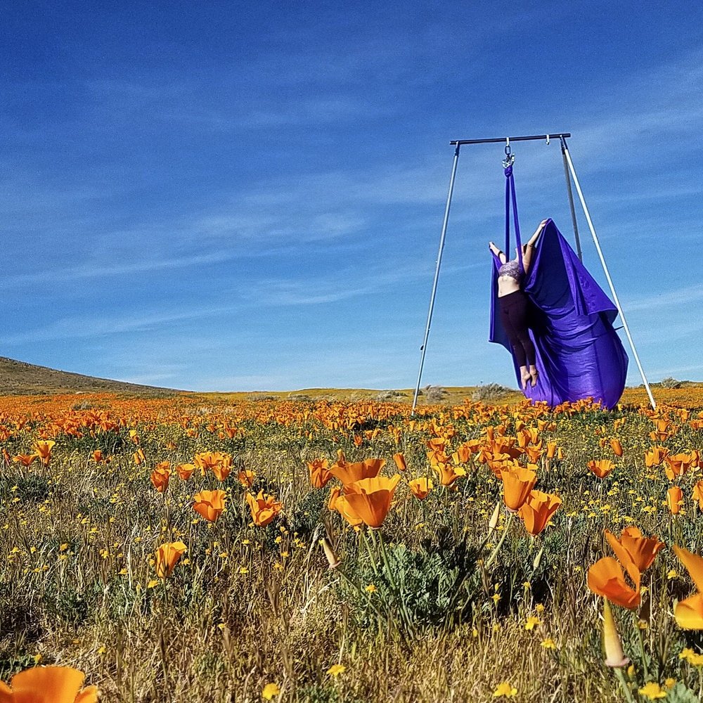 X-Pole A-Frame + VAD Aerial Silk Kit — Vertical Art Dance