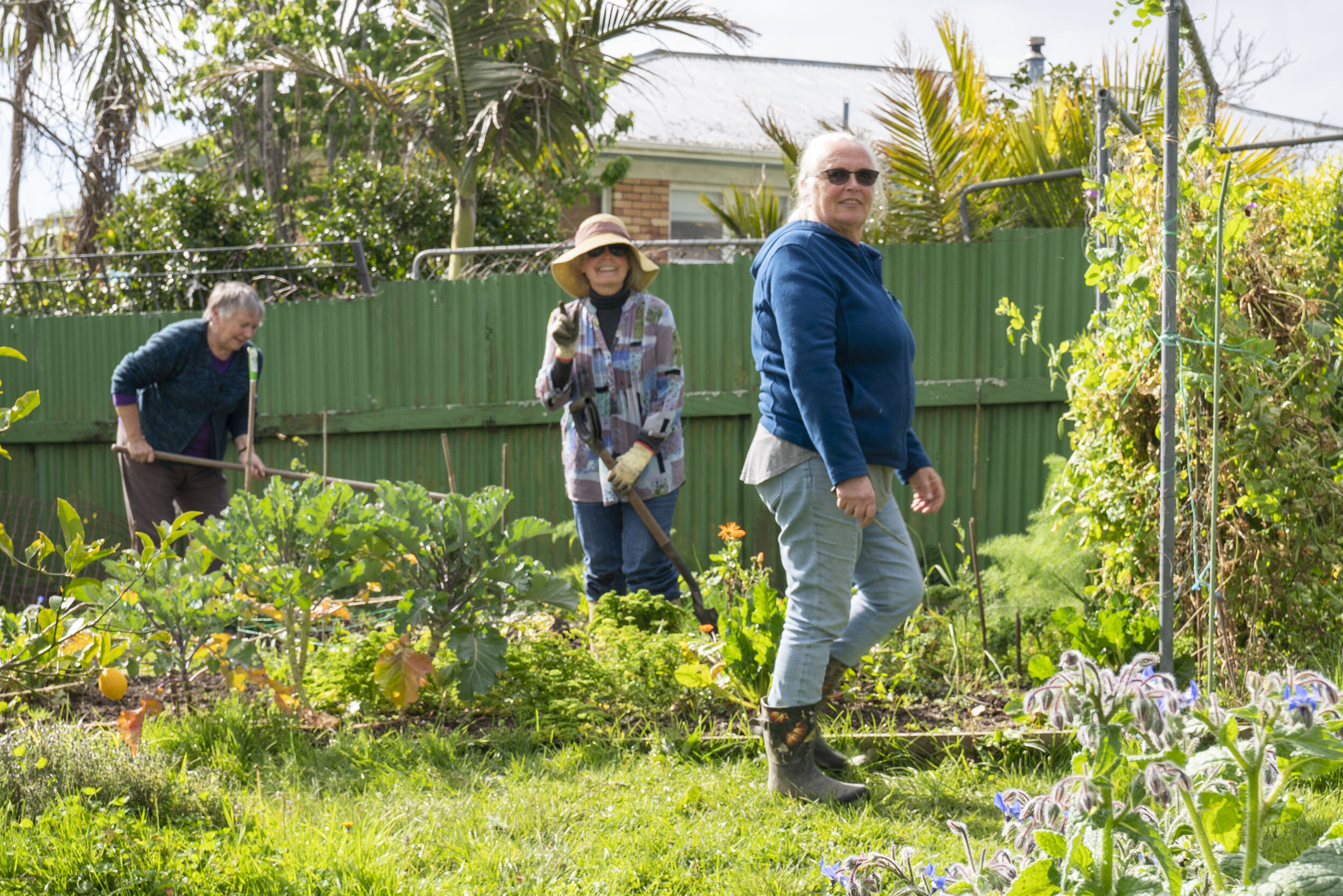 Community Garden at St Mark's