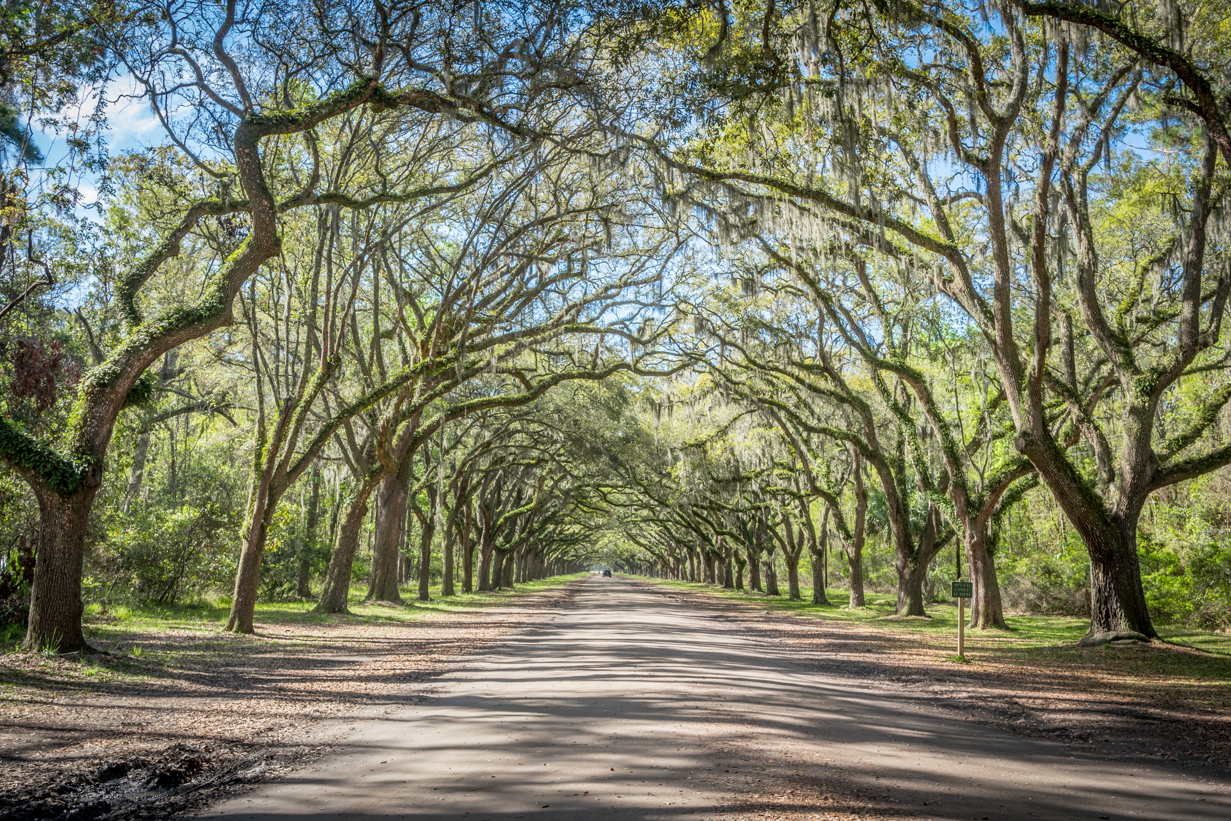 Wormsloe.jpg