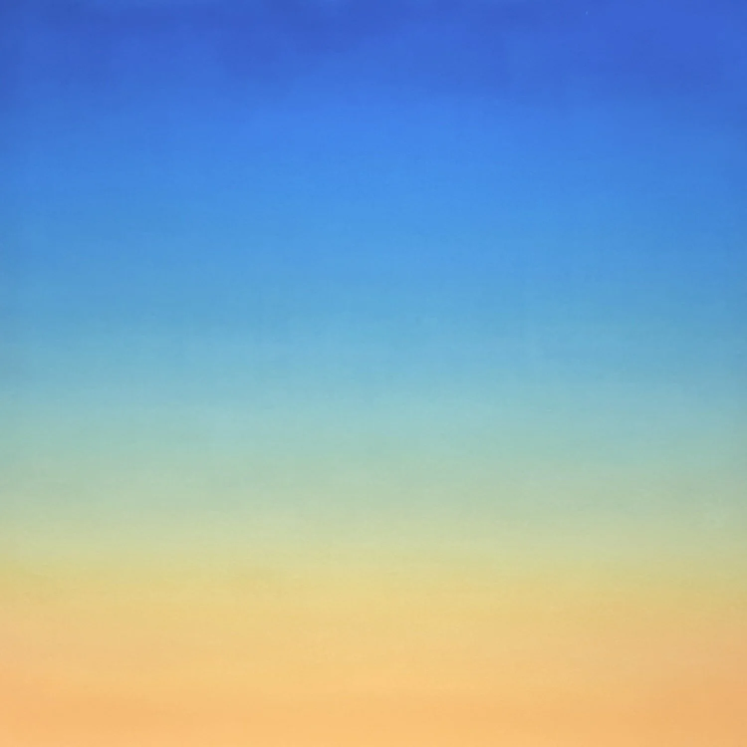Early Bright | oil on panel | 24x24"