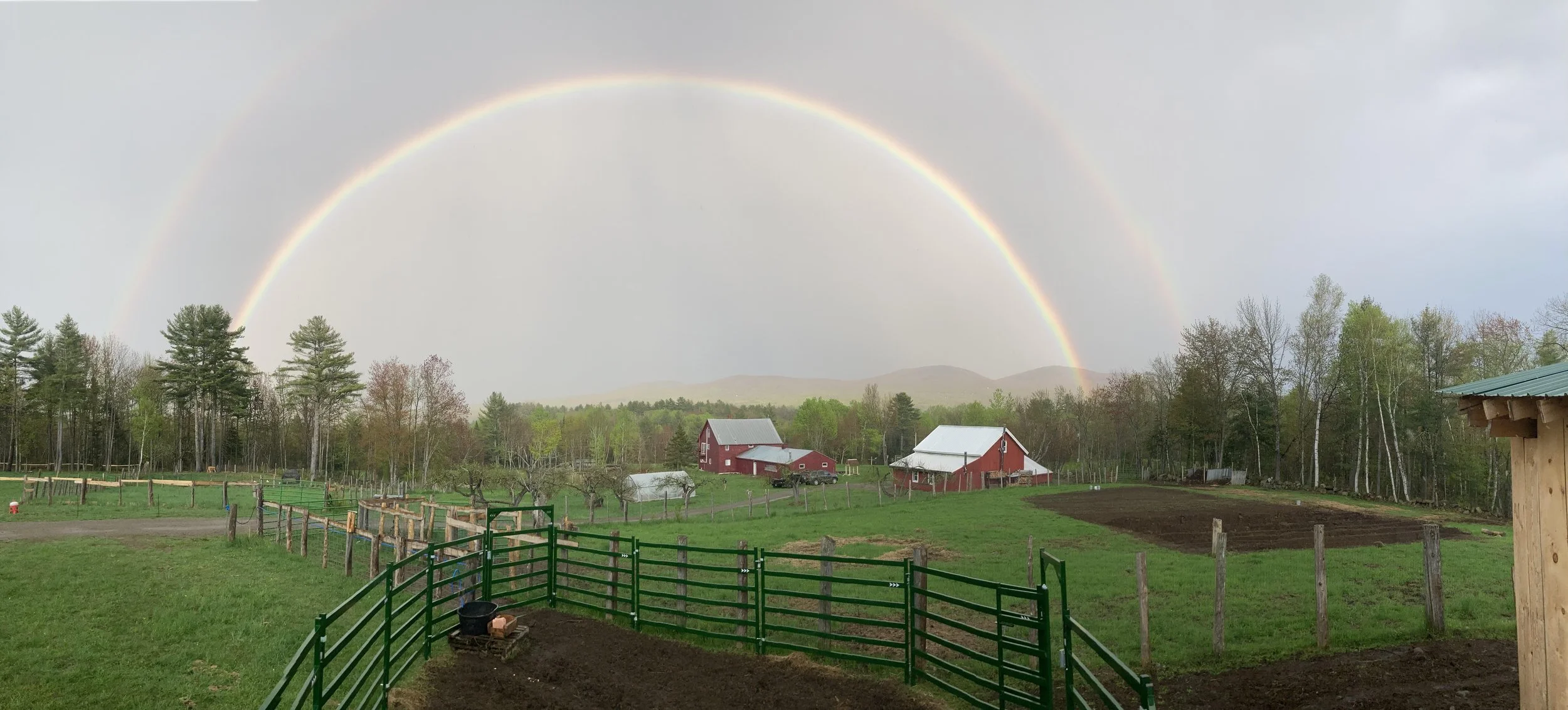Full Armor Farm Rainbow.jpeg
