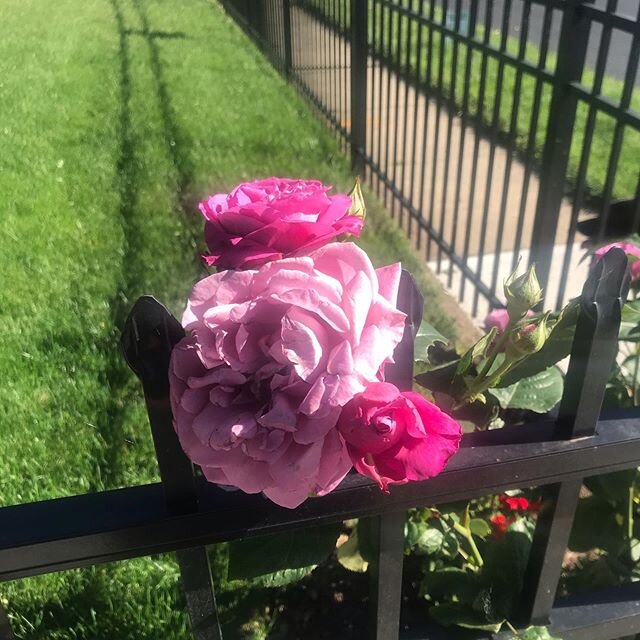 There is beauty everywhere. Not only in the blooming flower, but in the blooming soul. Beauty can be found wherever change is spreading. Look to the streets! See beauty lies at our feet. At the marching of our bodies together. At the sound of our voi
