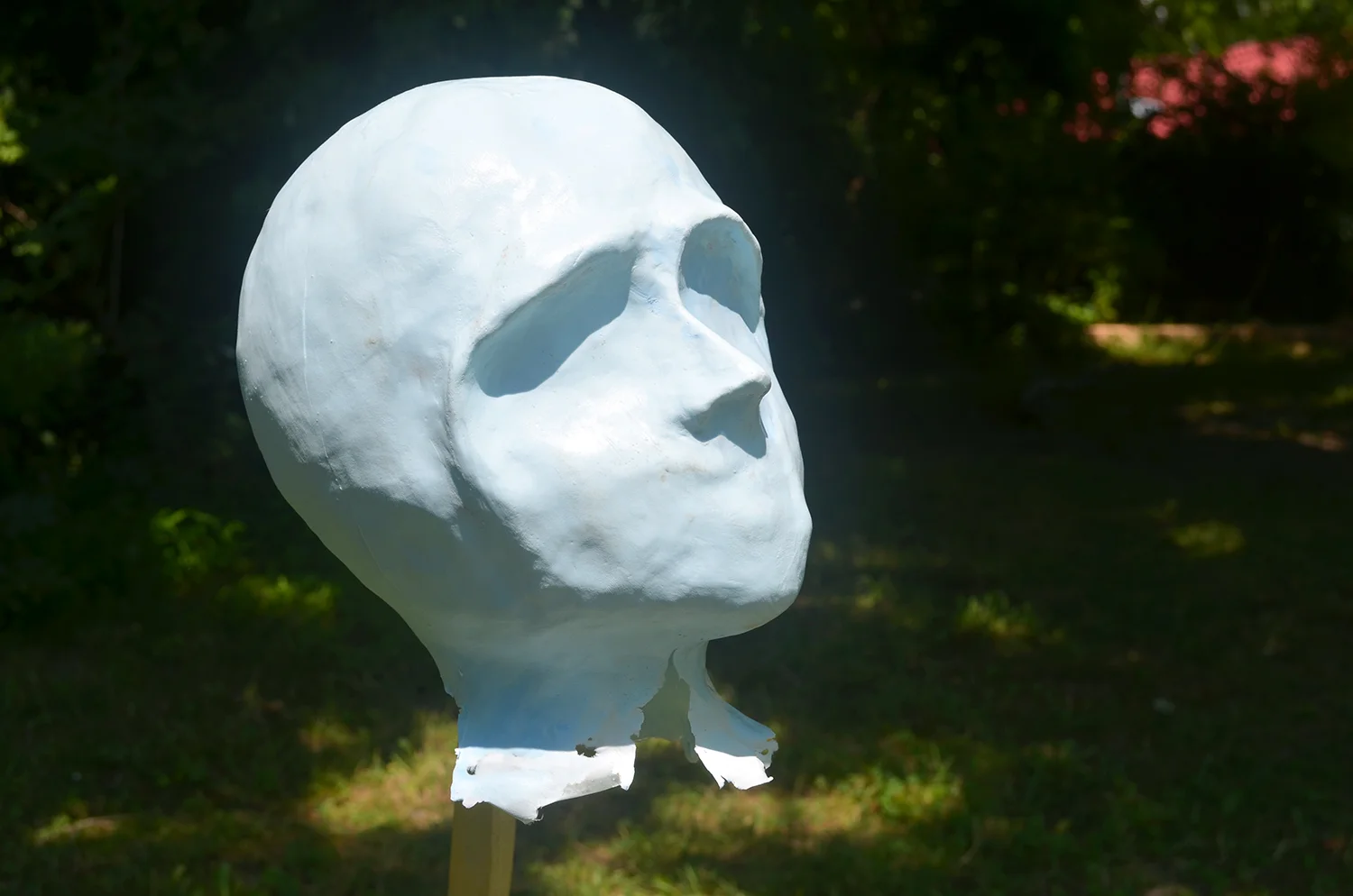 Skorski_Resin Head 1_DSC_1070.jpg