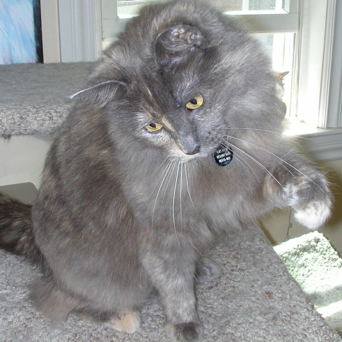 DSCN3181.jpg