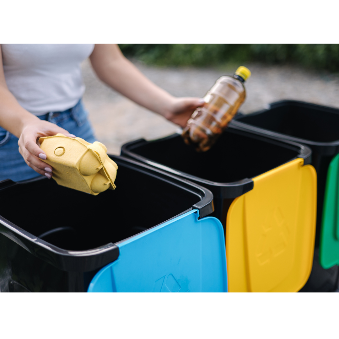 Woman's hands placing a brown bottle into one large garbage bin with a yellow lid and her other placing a yellow egg carton into a garbage bin with a blue lid.