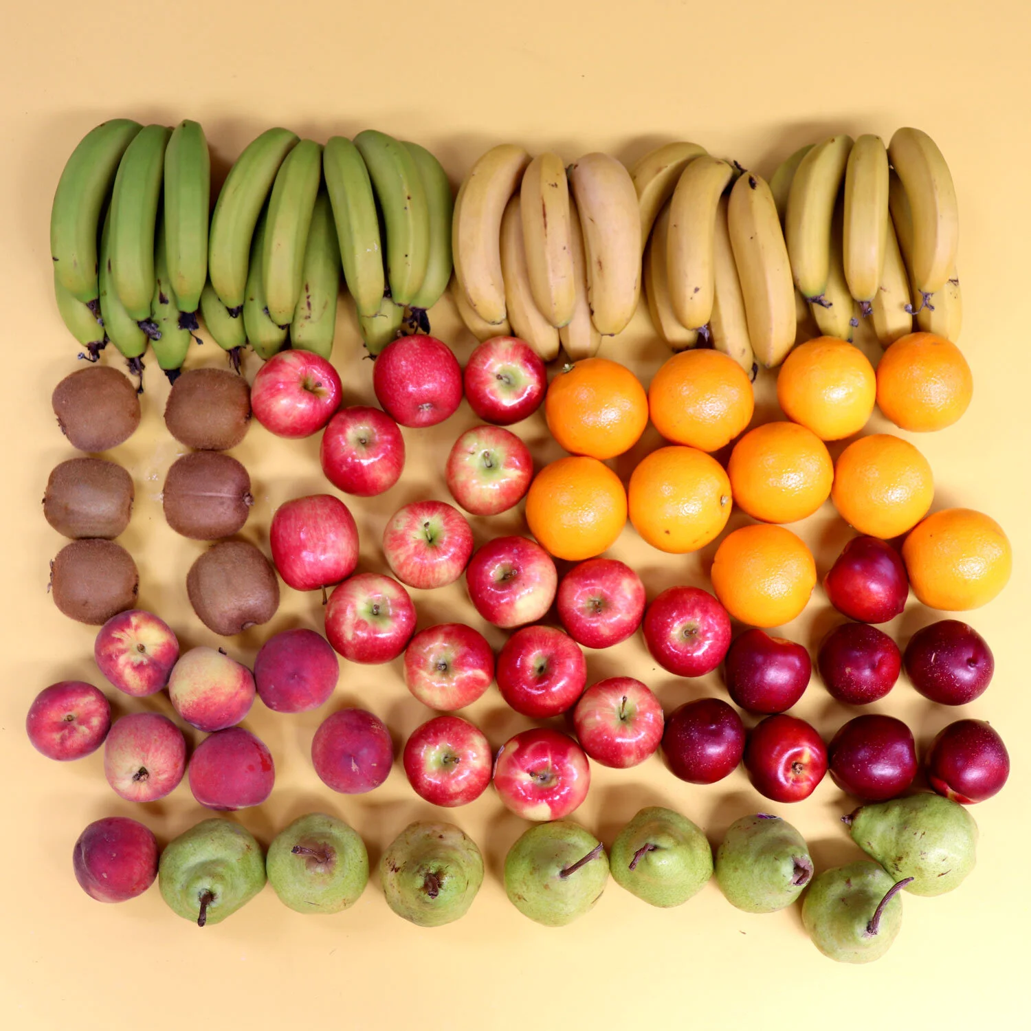 Large Office Fruit Box