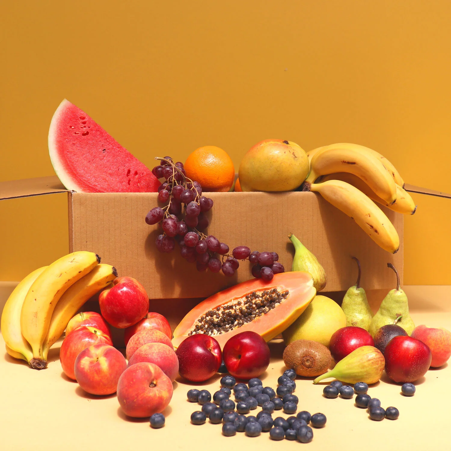 LrgFruit.jpg