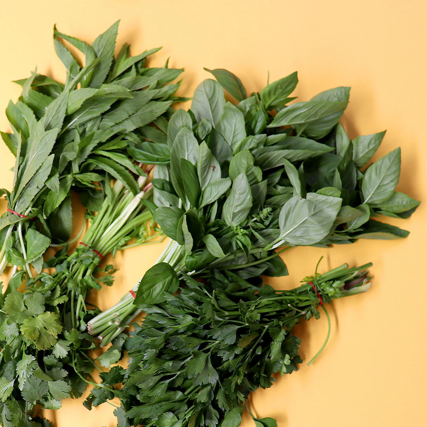 Herbs