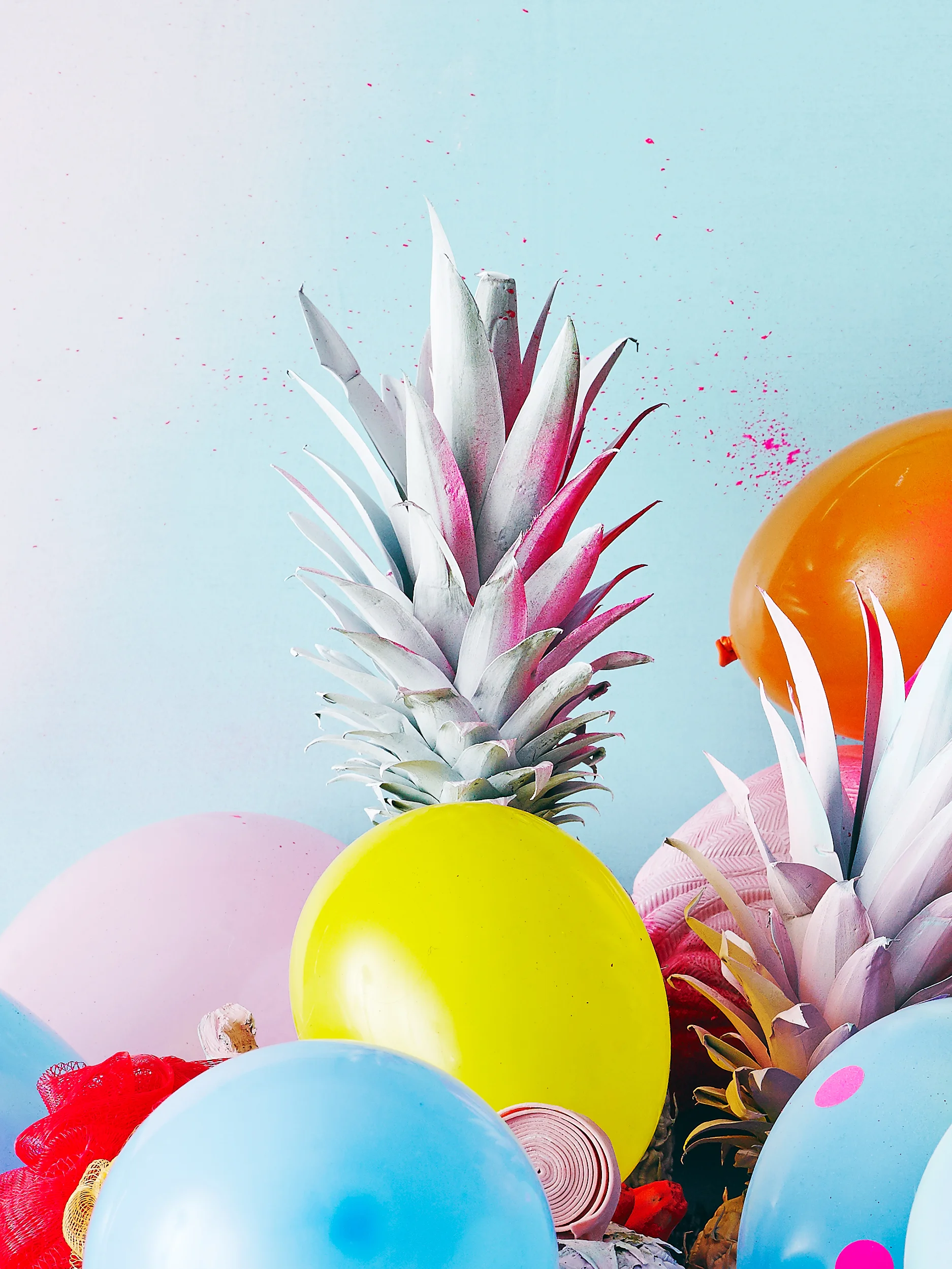 Pineapple245390.jpg