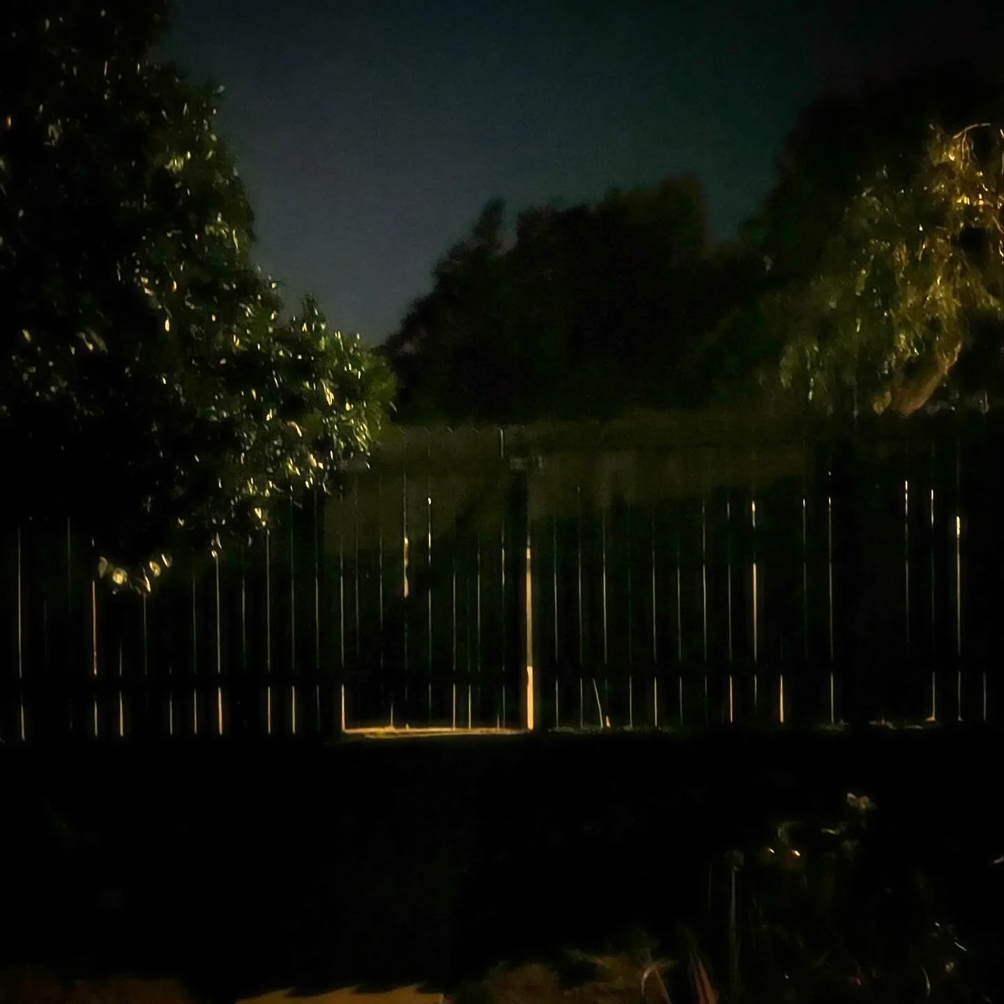 The dull light of these shadows&hellip;