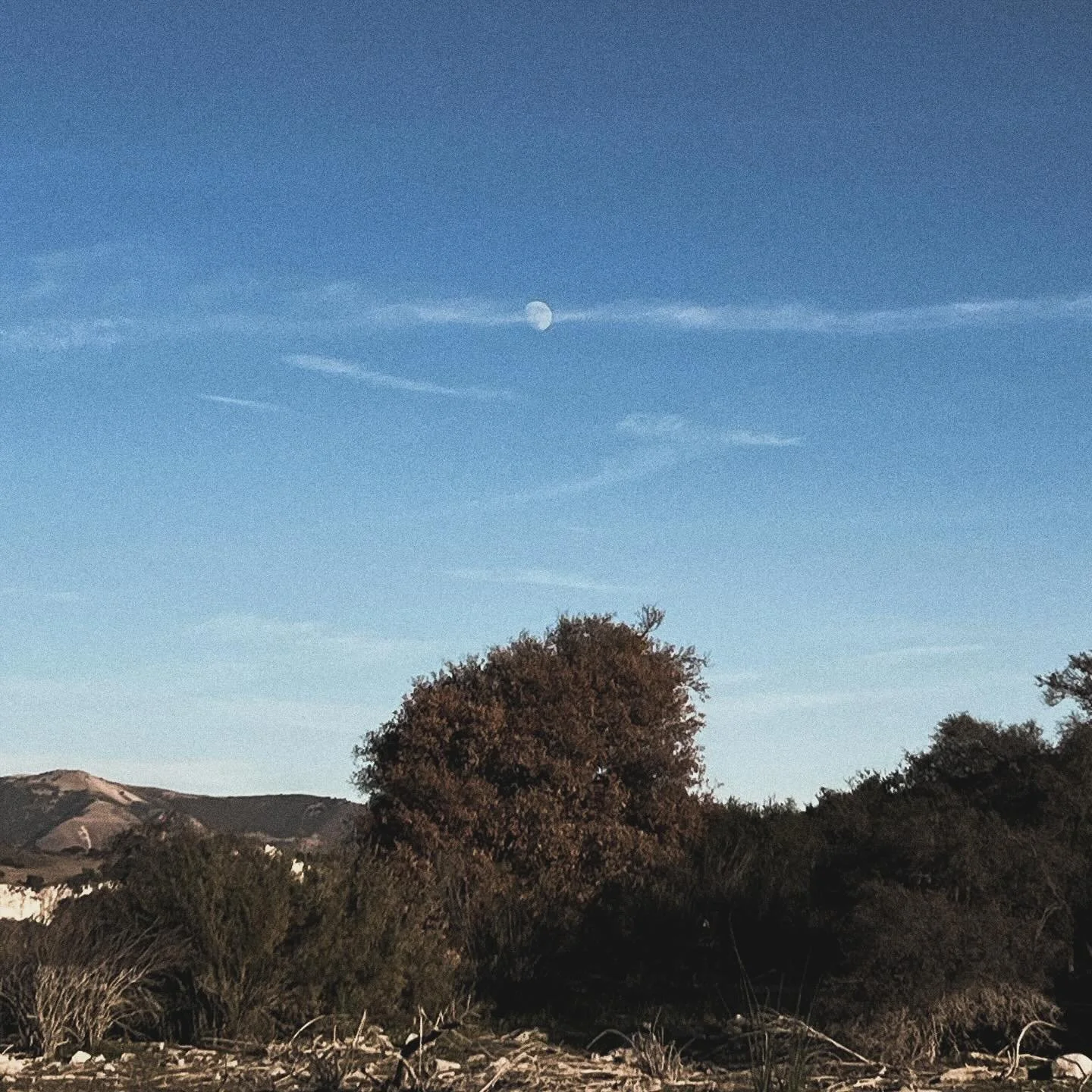 I saw the wall, in time it grew taller. And you said that we should probably flee this ground before it falters. But we never left, just wandered adrift in this town we made our alter. And still I feel something surreal when I see your face in the wa