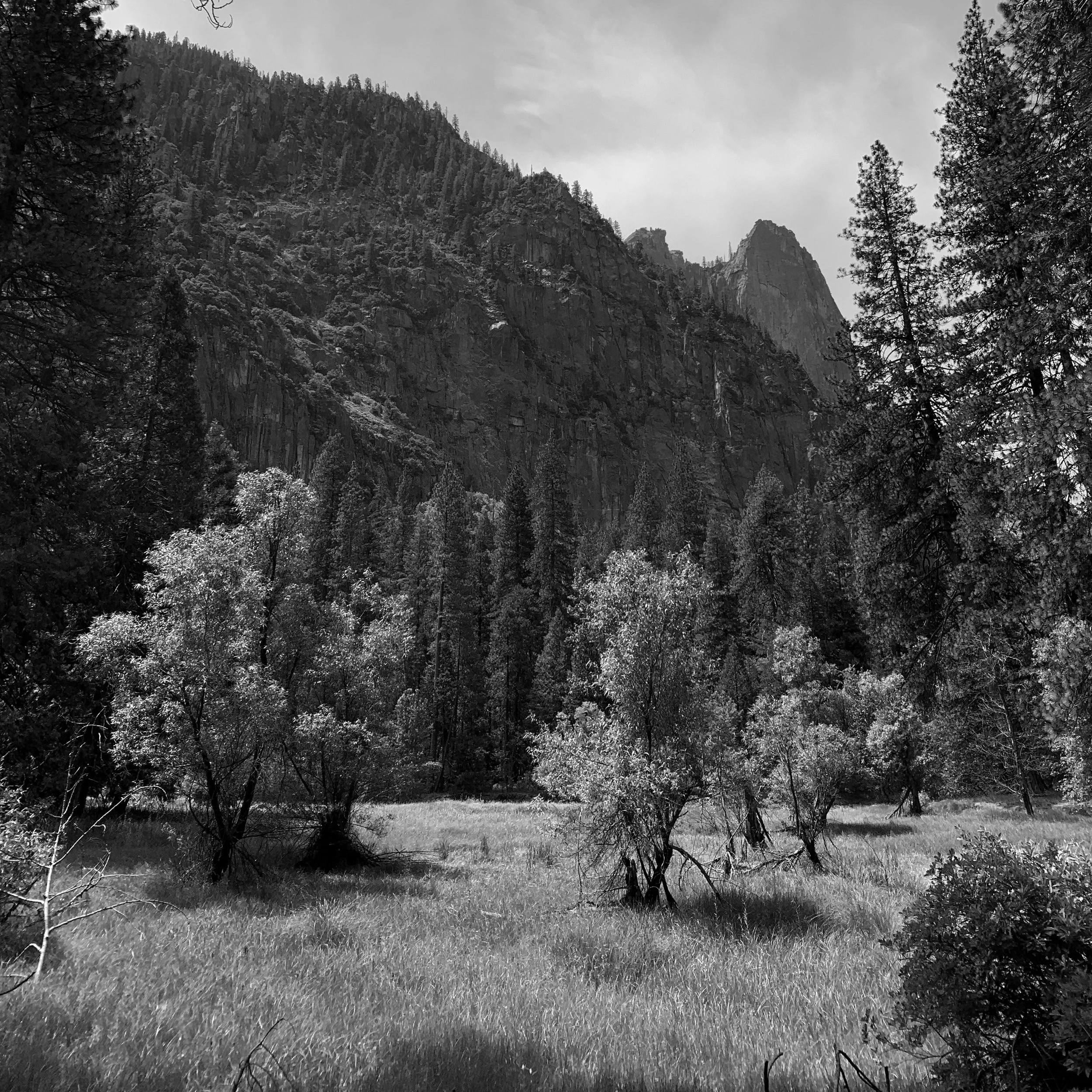 IMG_7083.JPG