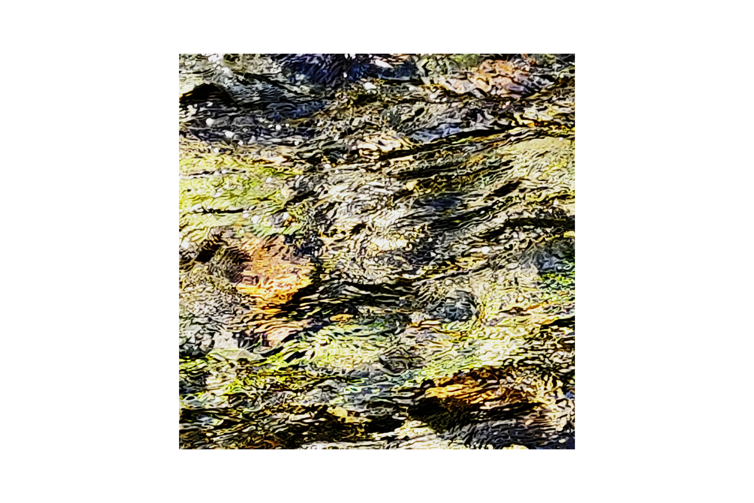 contrast river.jpg