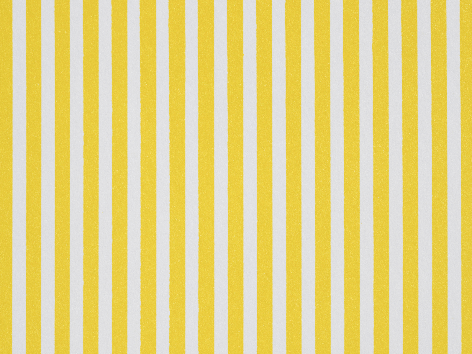 Tribu Creativa 2026.png