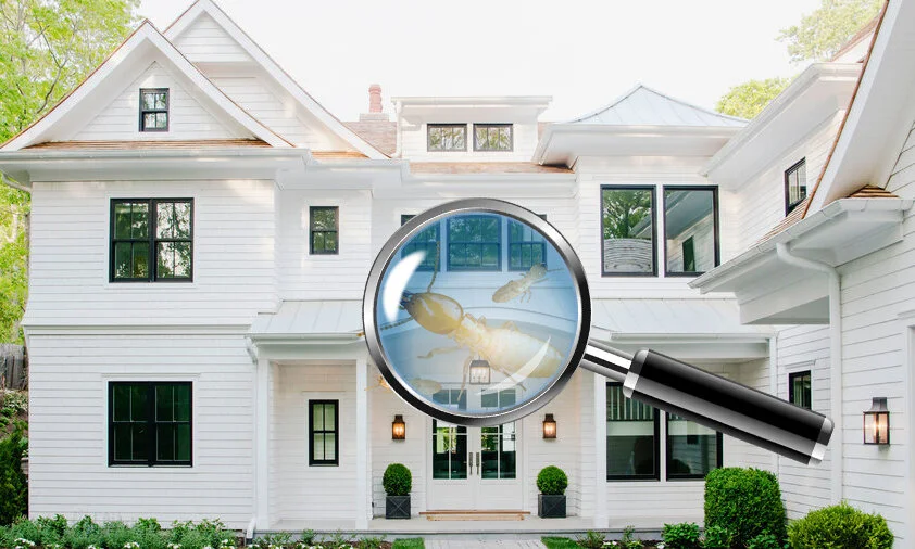 hamptons-showhouse-white-exterior.jpg