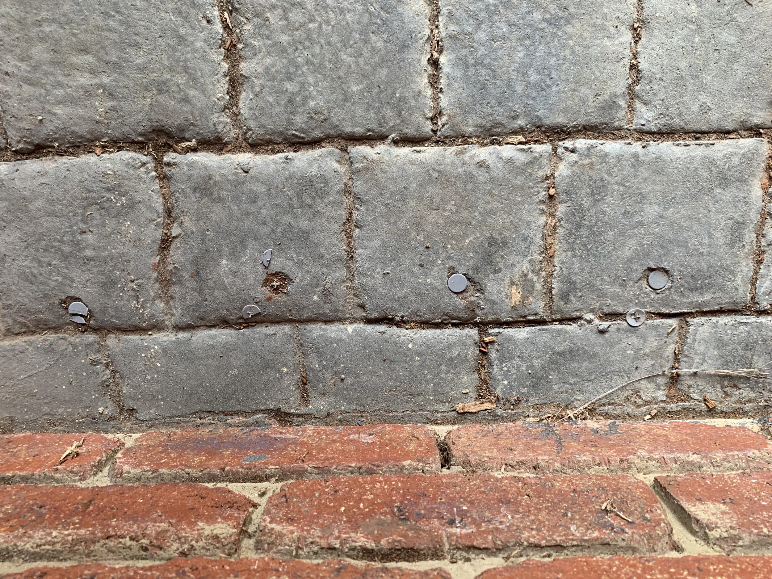 Should you continue to purchase a house that has termite damage?