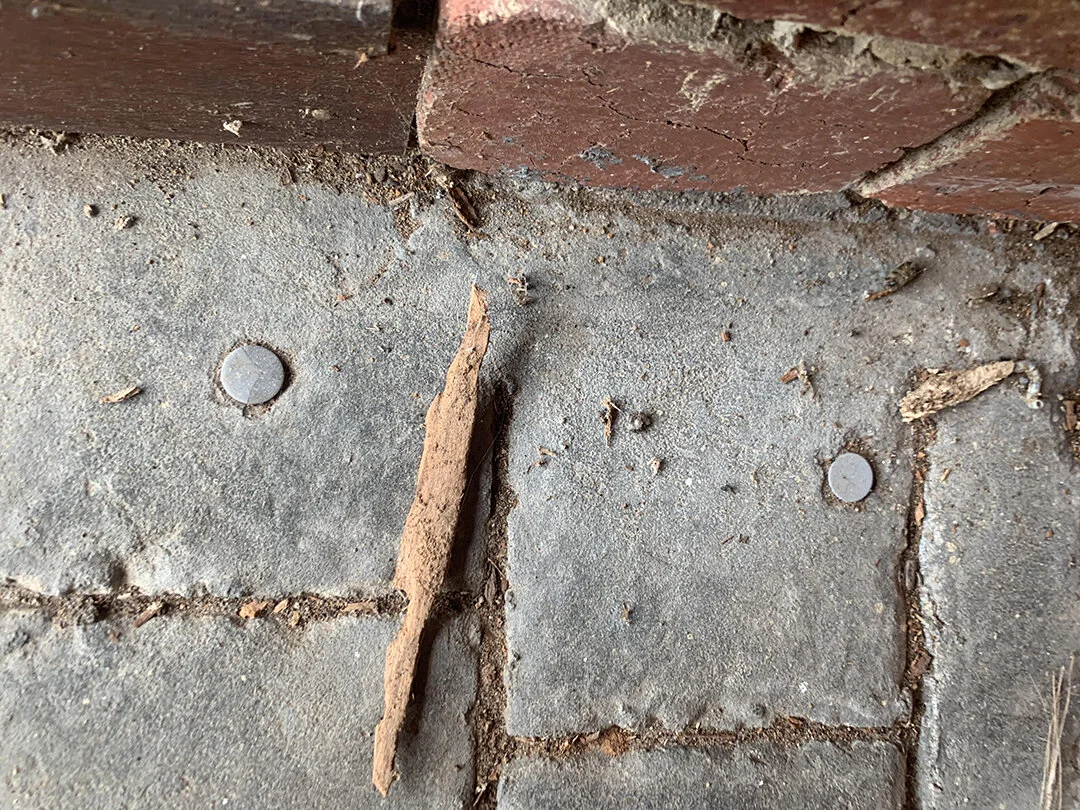 Termite inspection AABI.jpg