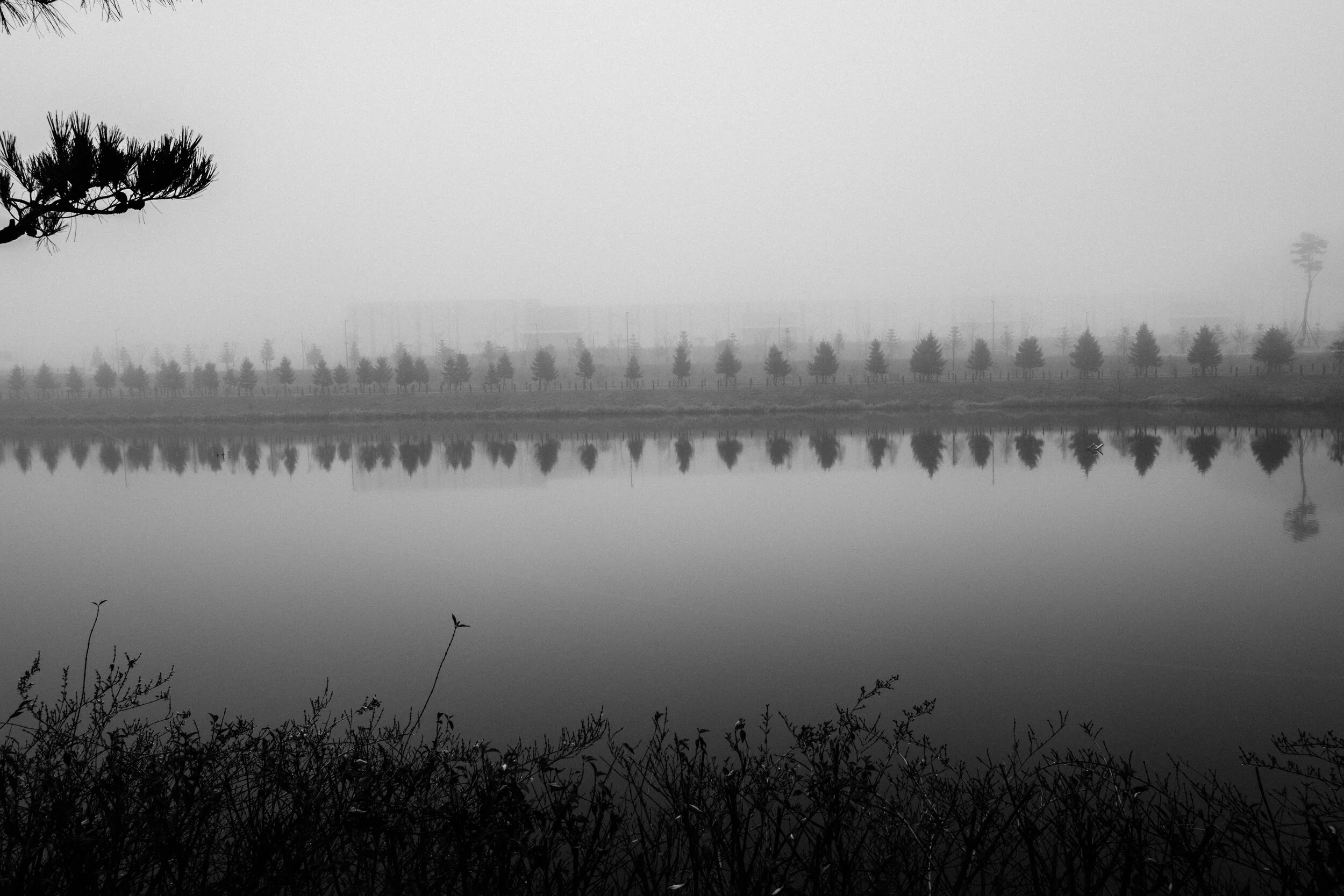 L1010171.jpg