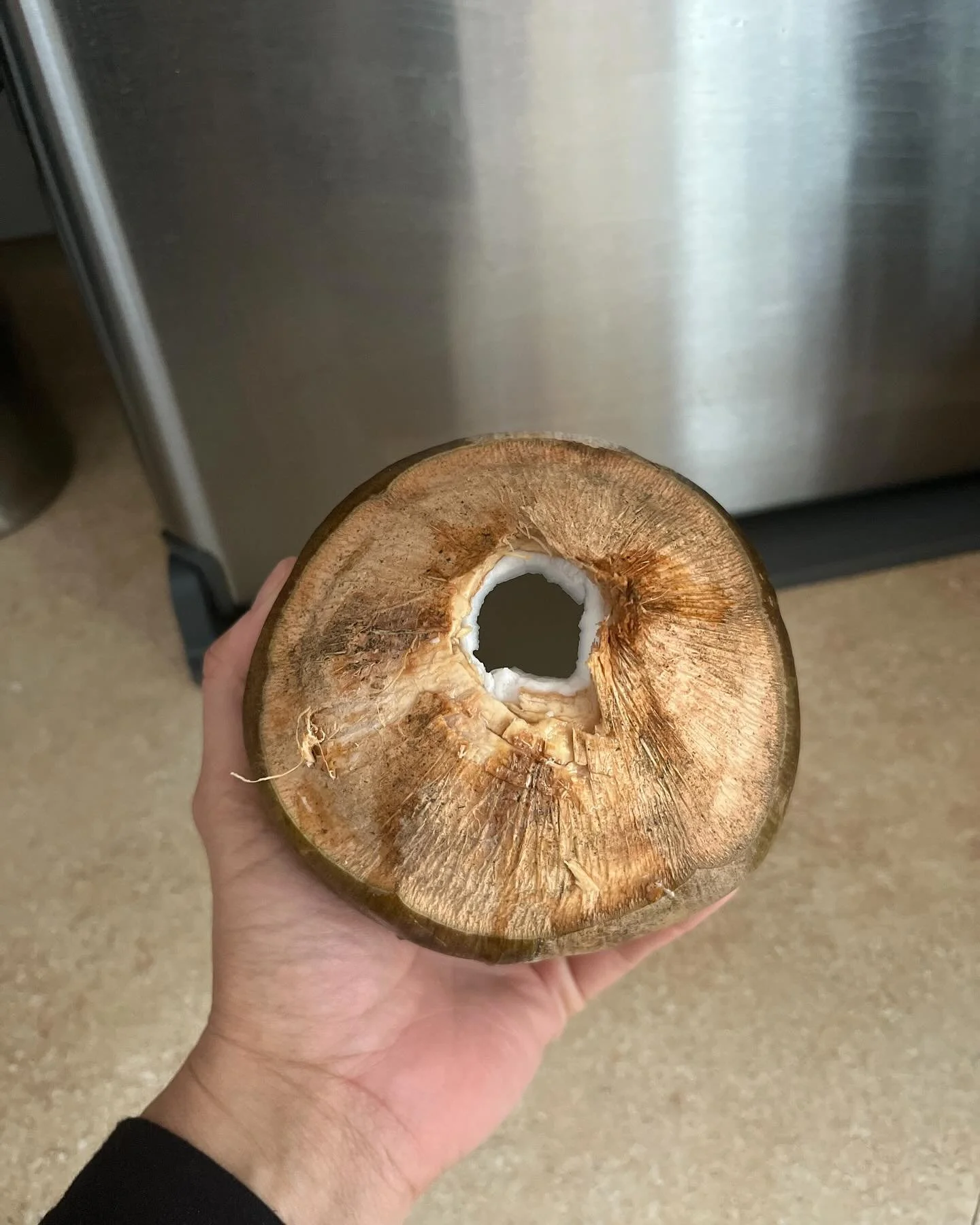 Thankful for produce care packages from #puertorico 🙏🏽 Fresh coconut water for the win! When I lived in Puerto Rico I realized that my great aunt had so much fresh produce on her land that she was like her own mini farmer&rsquo;s market. So, instea