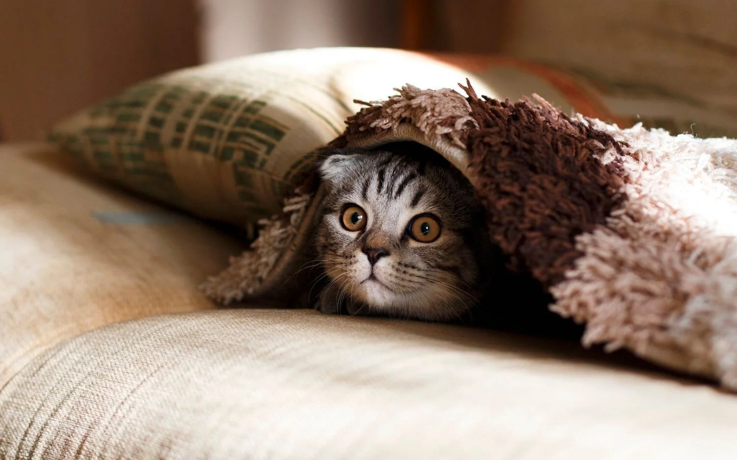 Come Out, Come Out, Wherever You Are - Employer Return-to-Work Considerations in the Post COVID-19 Era (Part 2 of 4)