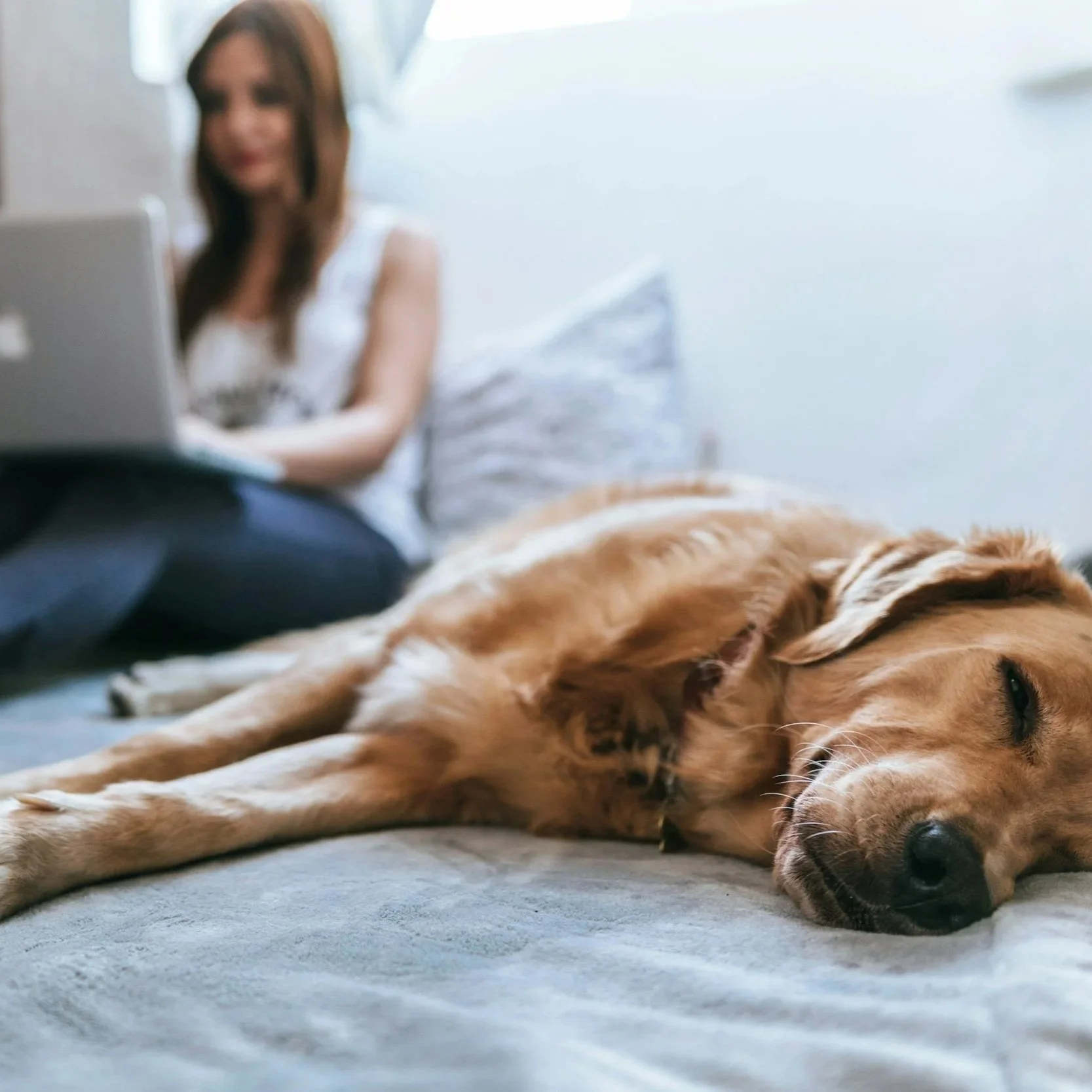 Remote Work as an Accommodation: What’s Reasonable in 2026?