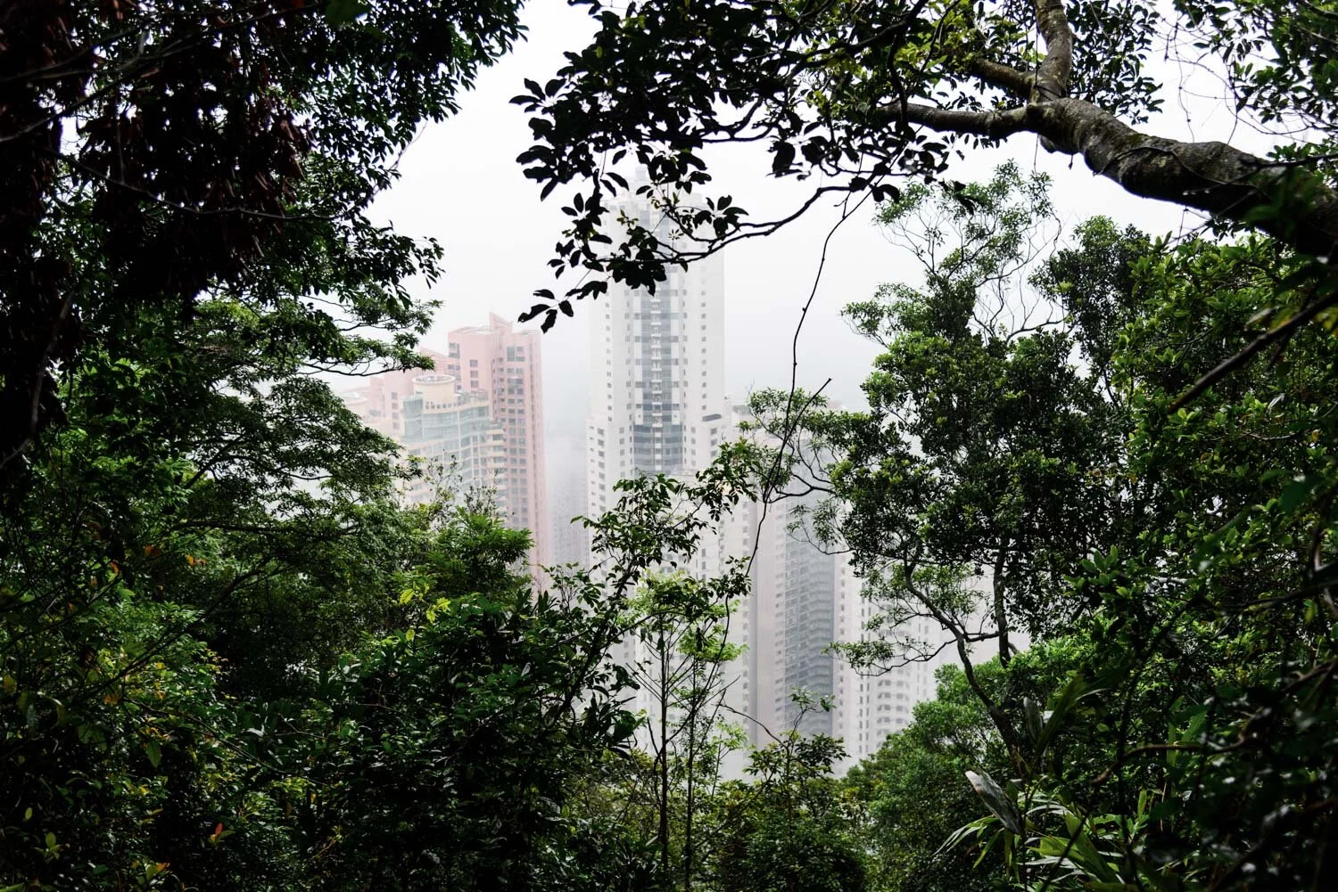 HK-02-02.jpg