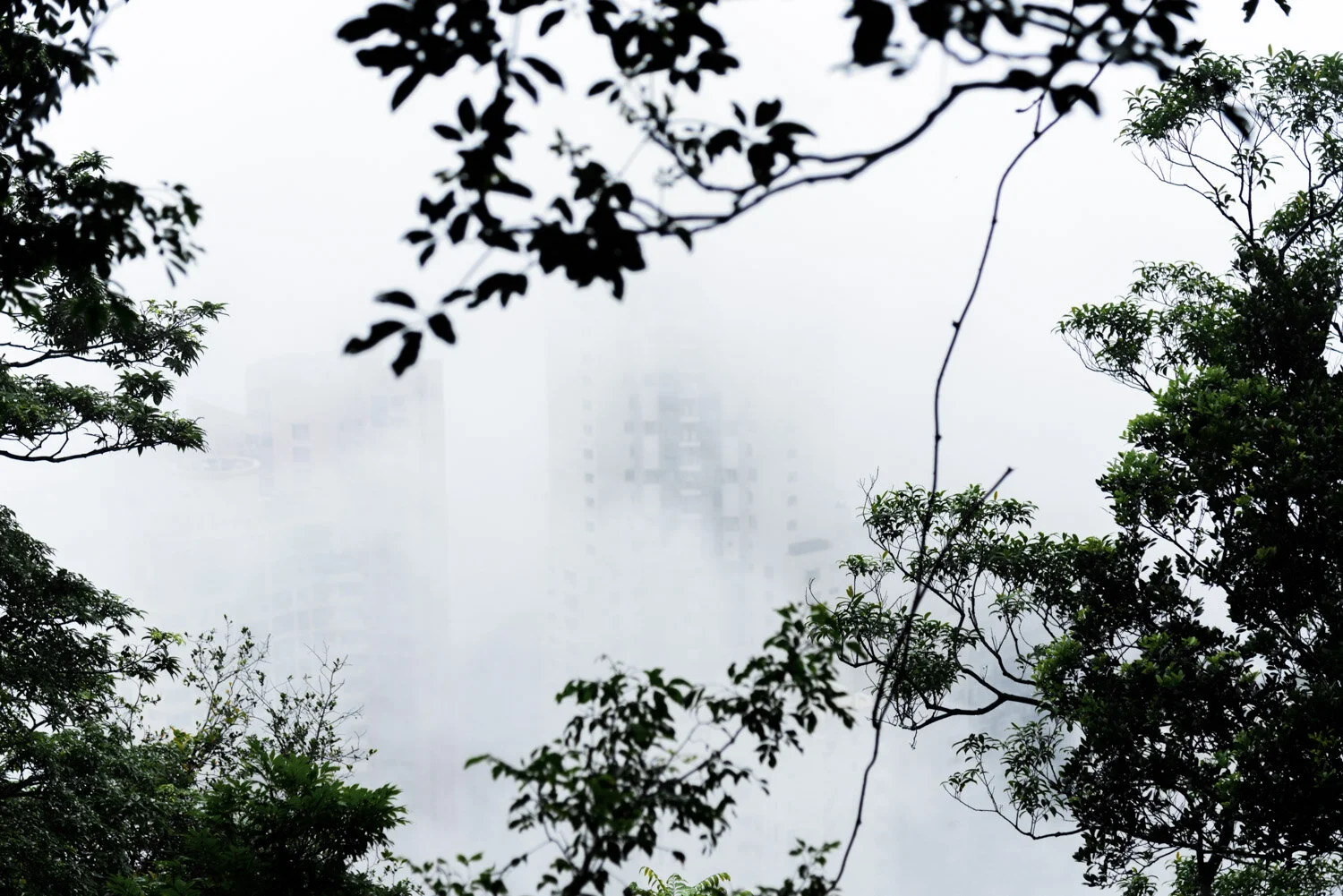 HK-02-01.jpg