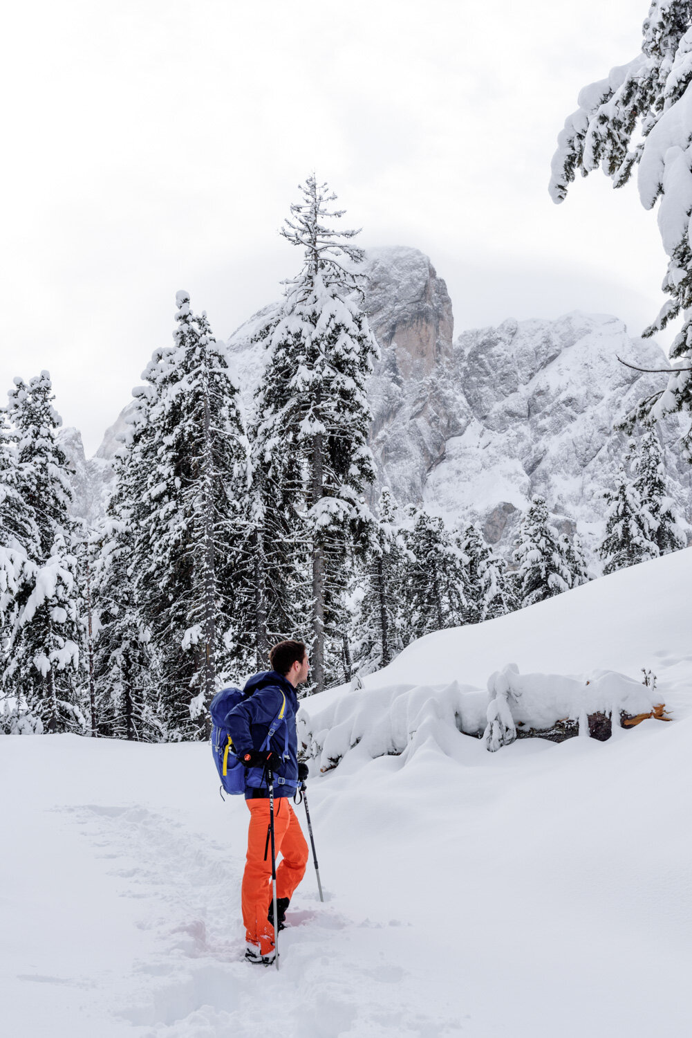 Through the snowy woods at Passo delle Erbe