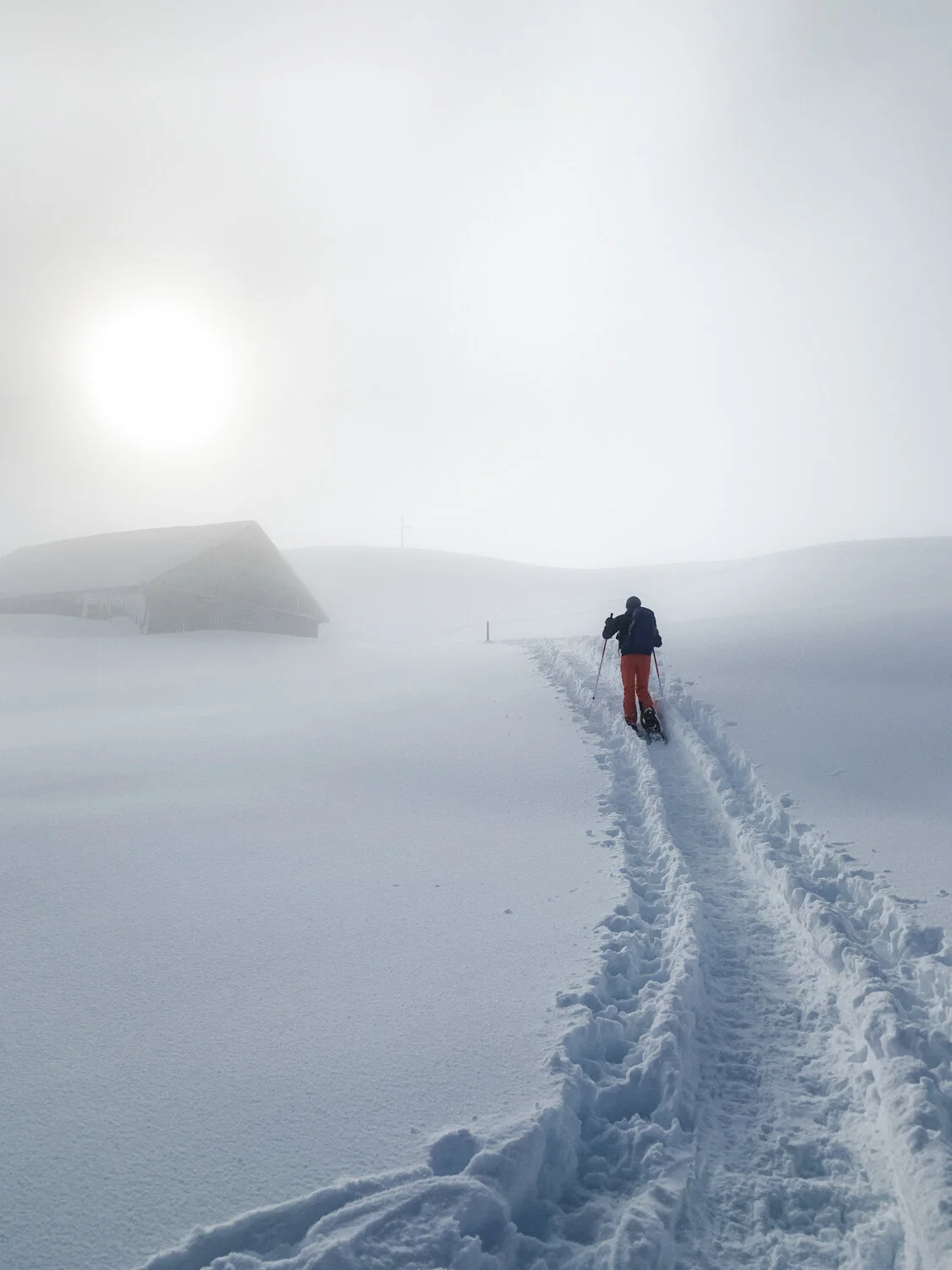 Escursione sulla neve: Biberegg