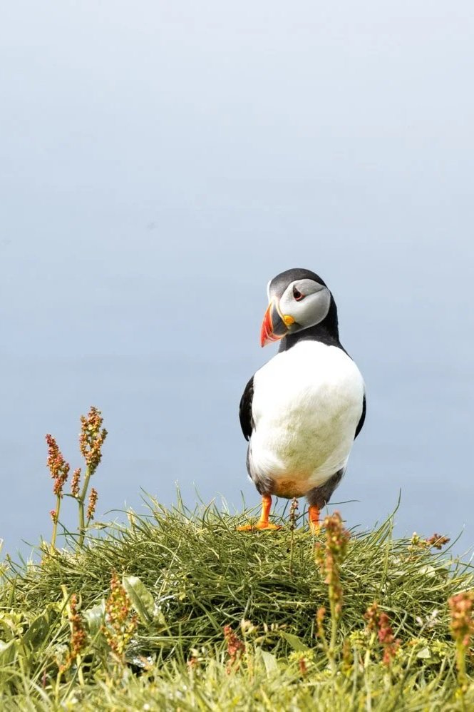 Faroe Islands: hikes and tips