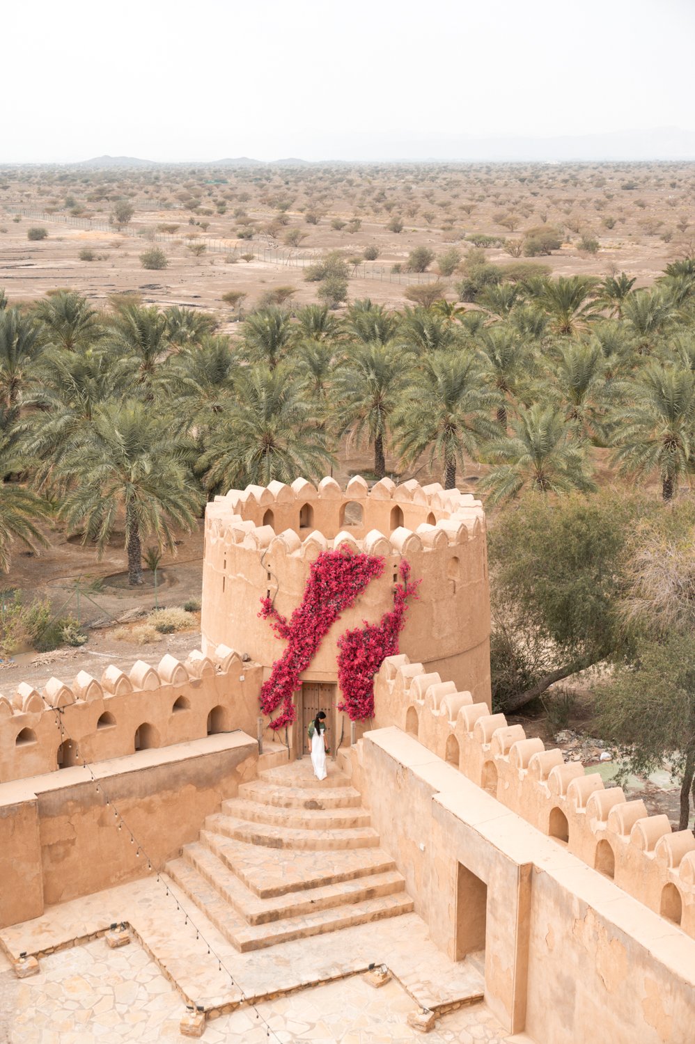 Oman e le montagne: un viaggio tra forti, palmeti e canyon