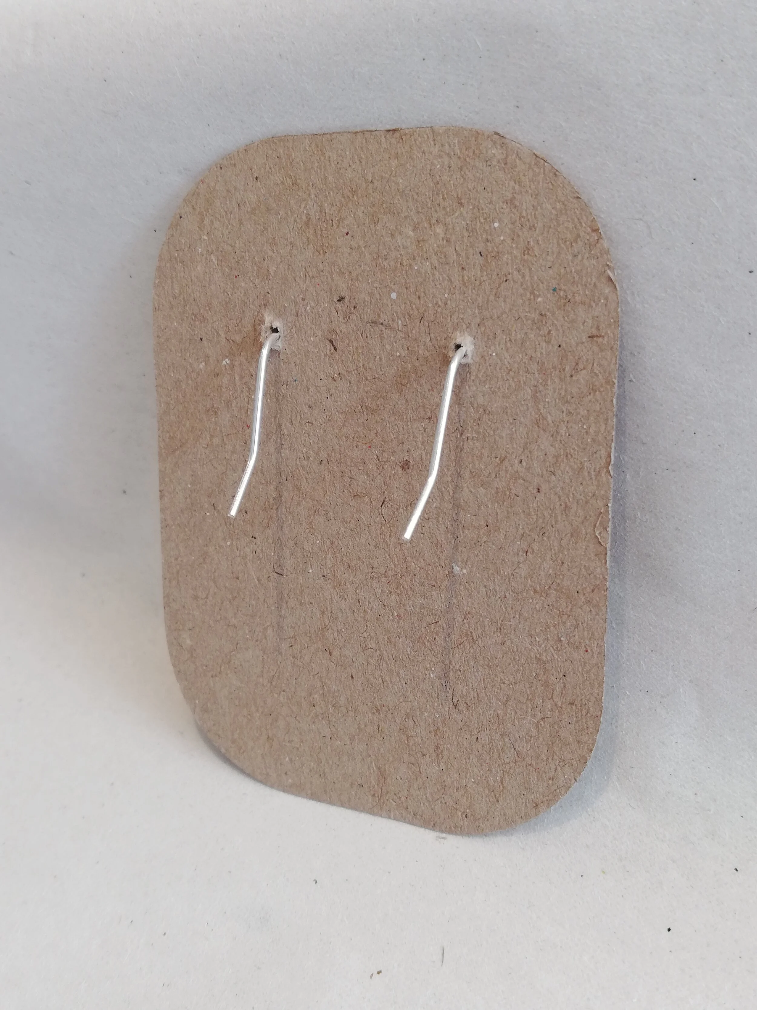 IMG_20200312_12earbacks.jpg