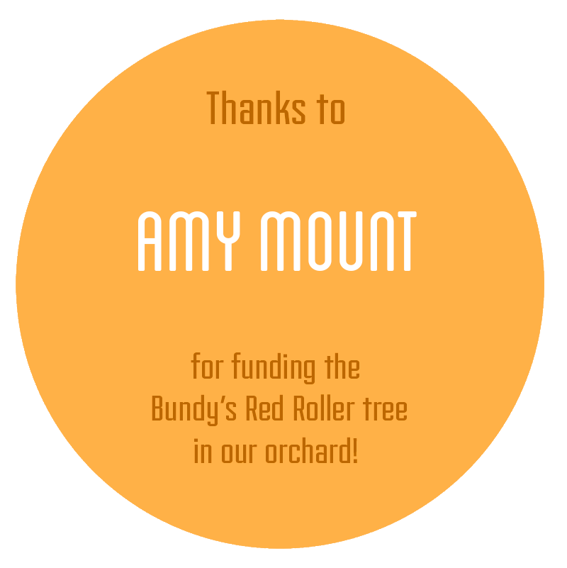 Amy-Mount.png